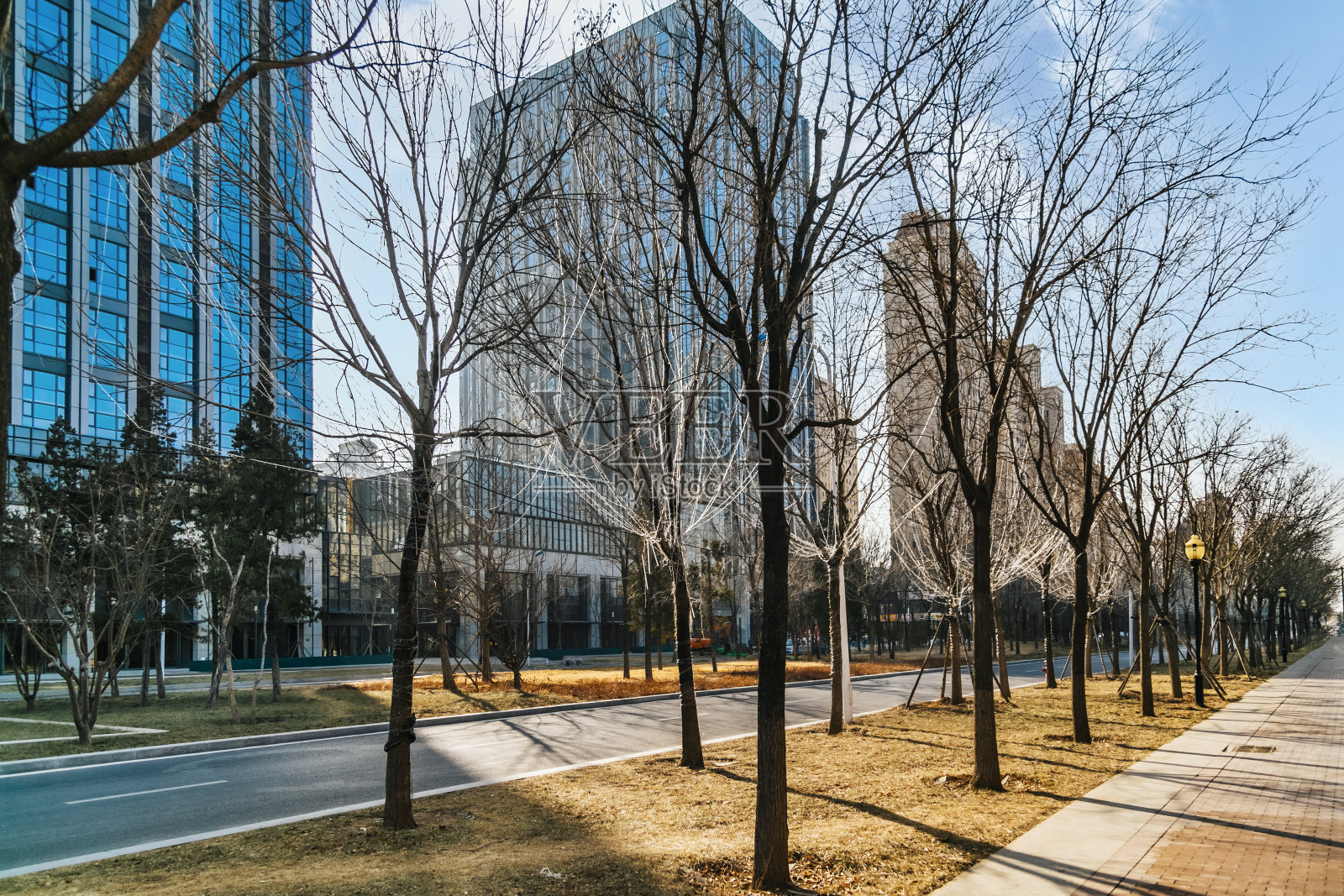 天津高层建筑照片摄影图片