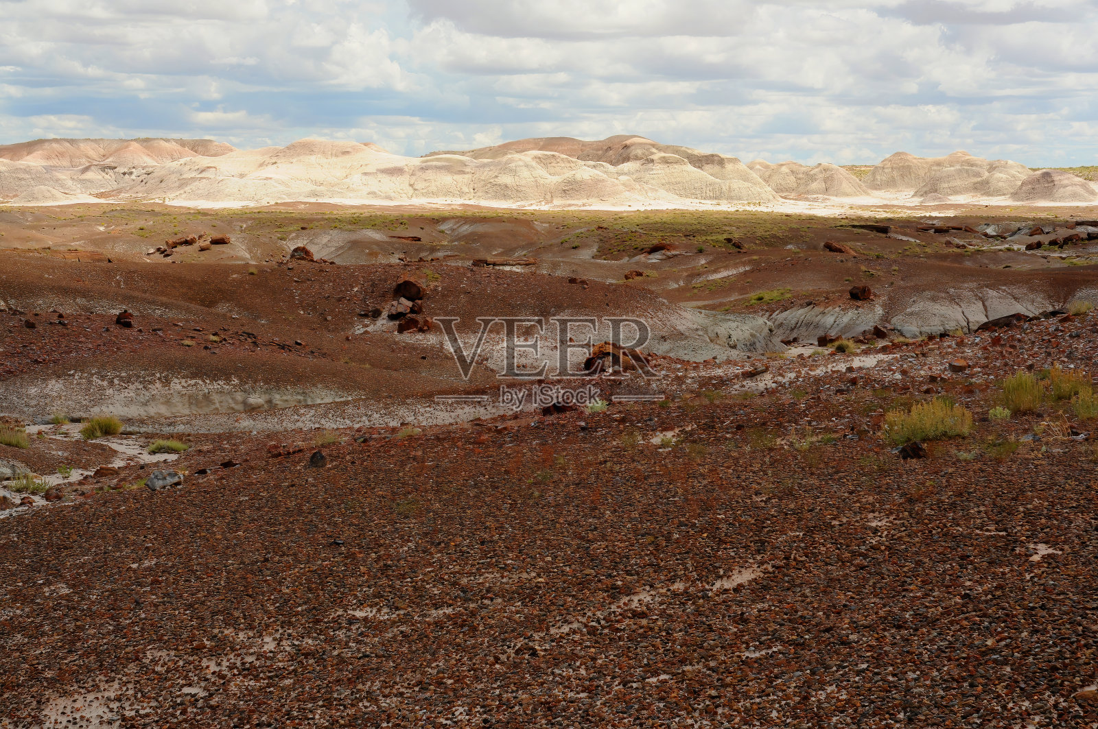 崎岖的景观石化森林亚利桑那州照片摄影图片