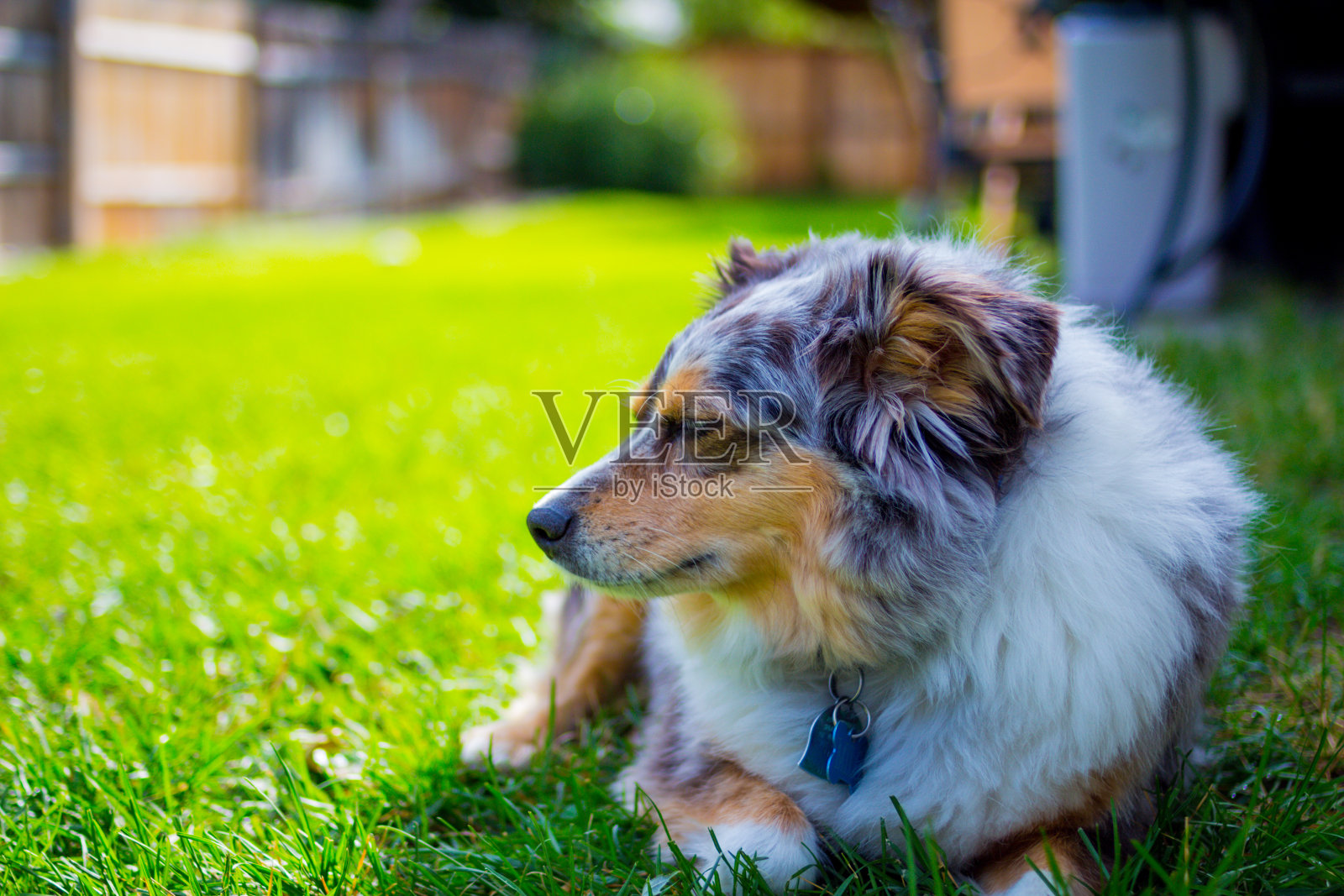 犹他州照片摄影图片