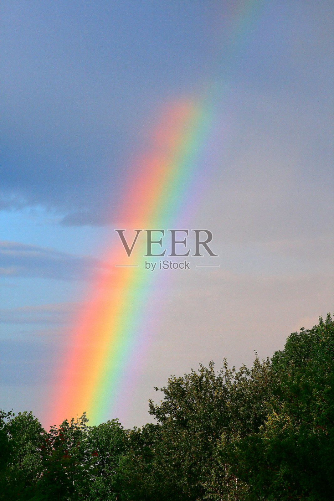 树上的彩虹照片摄影图片