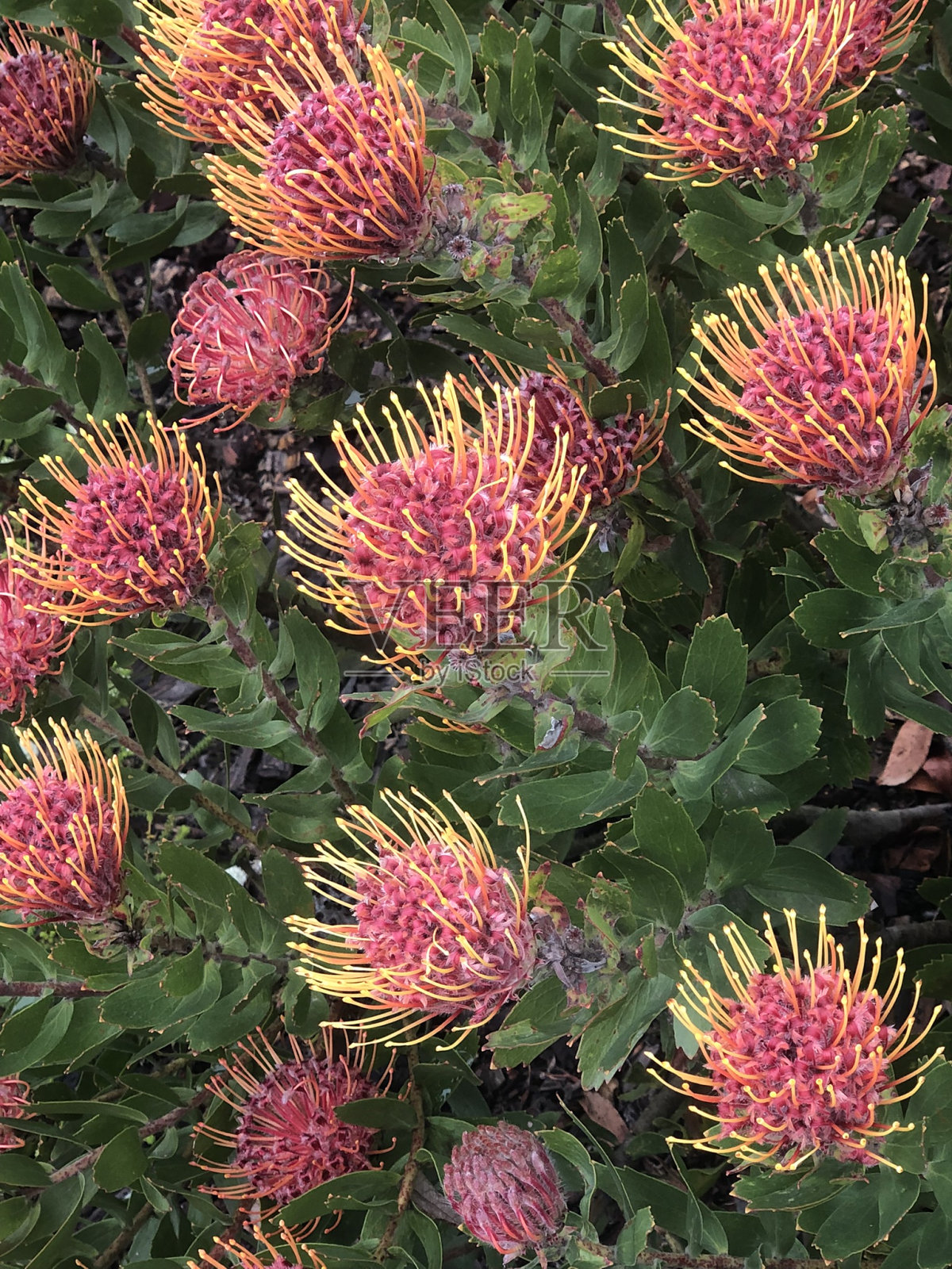 天空是极限照片摄影图片