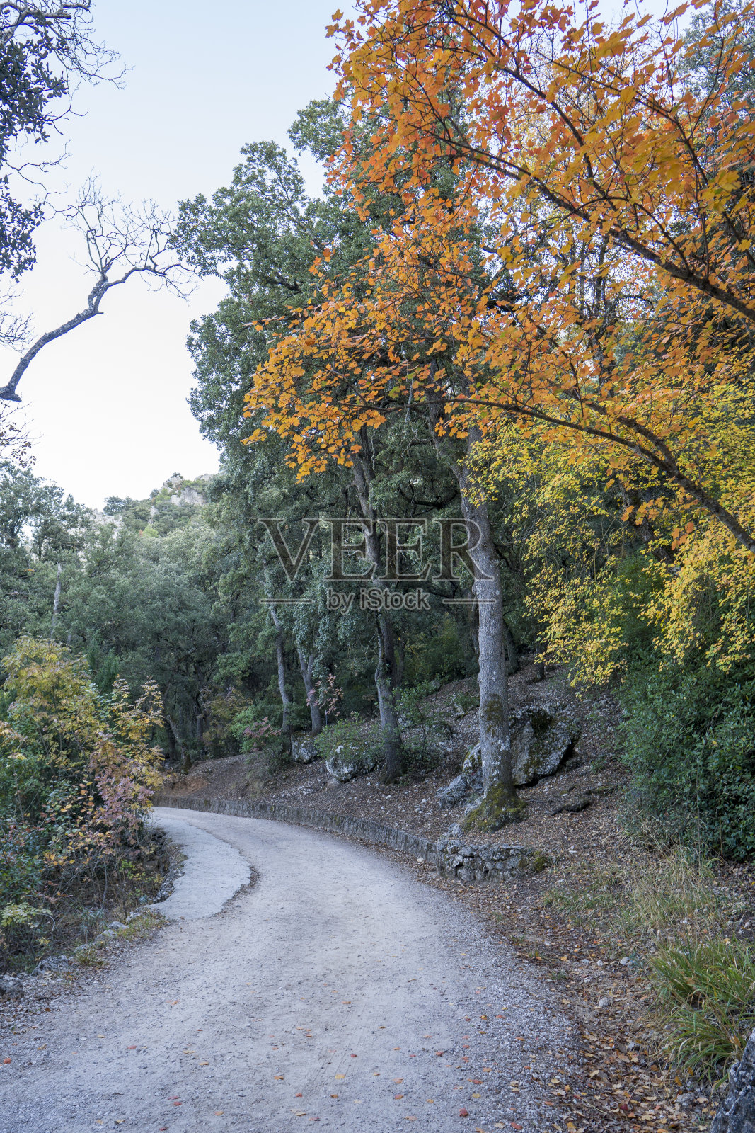 Font Roja的自然公园。Alcoi, Alcoy Alicante，西班牙照片摄影图片