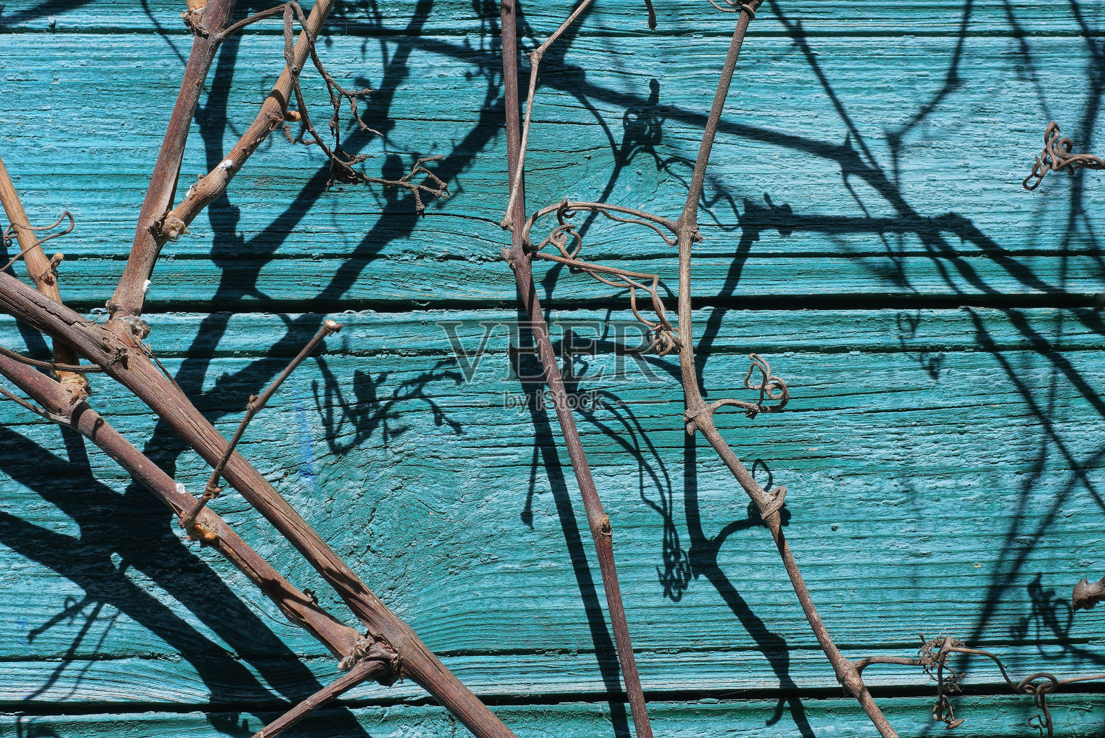 质感的栅栏墙采用绿色的木板照片摄影图片