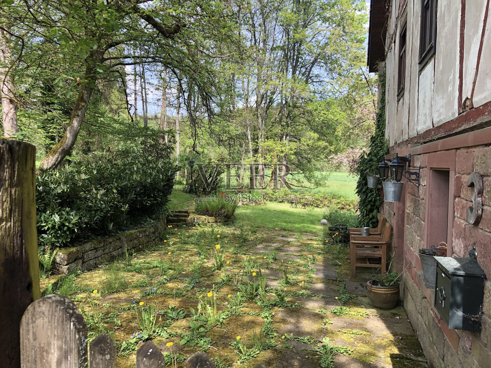 奥德斯森林里的老磨坊照片摄影图片