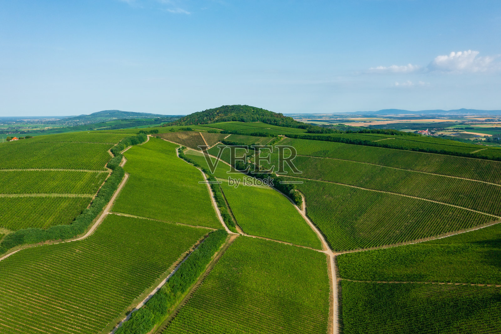 鸟瞰匈牙利维拉尼葡萄酒产区的著名葡萄园。照片摄影图片