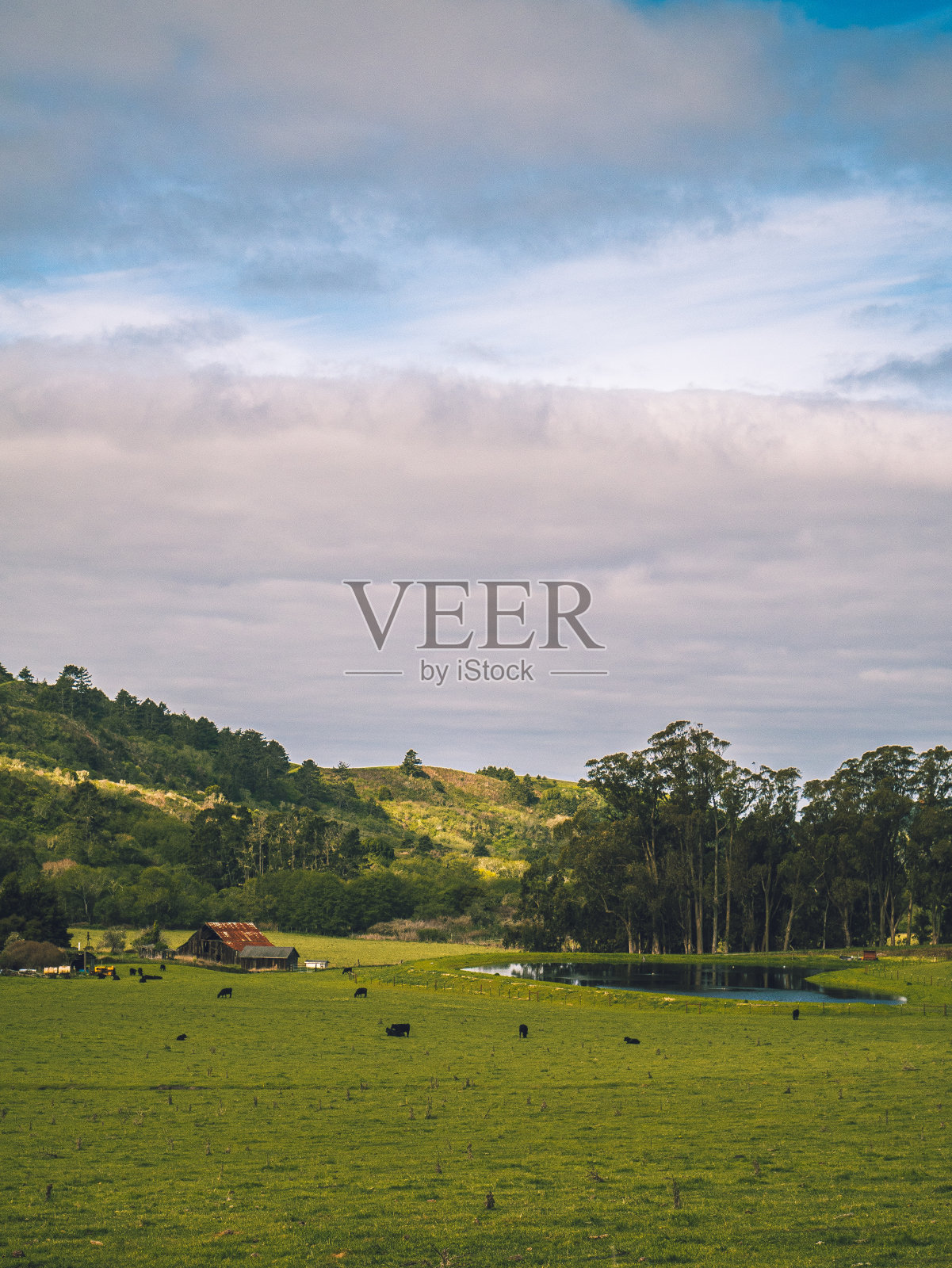 农田照片摄影图片