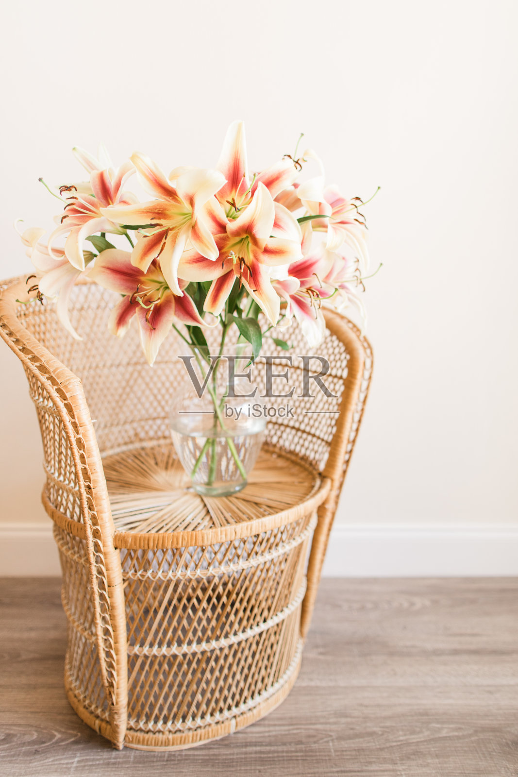 奶油黄色和明亮的热粉色复活节百合花在一个波西米亚复古藤制孔雀椅上的玻璃花瓶里，室内有奶油色的背景，在明亮的自然光下从窗户复制空间照片摄影图片