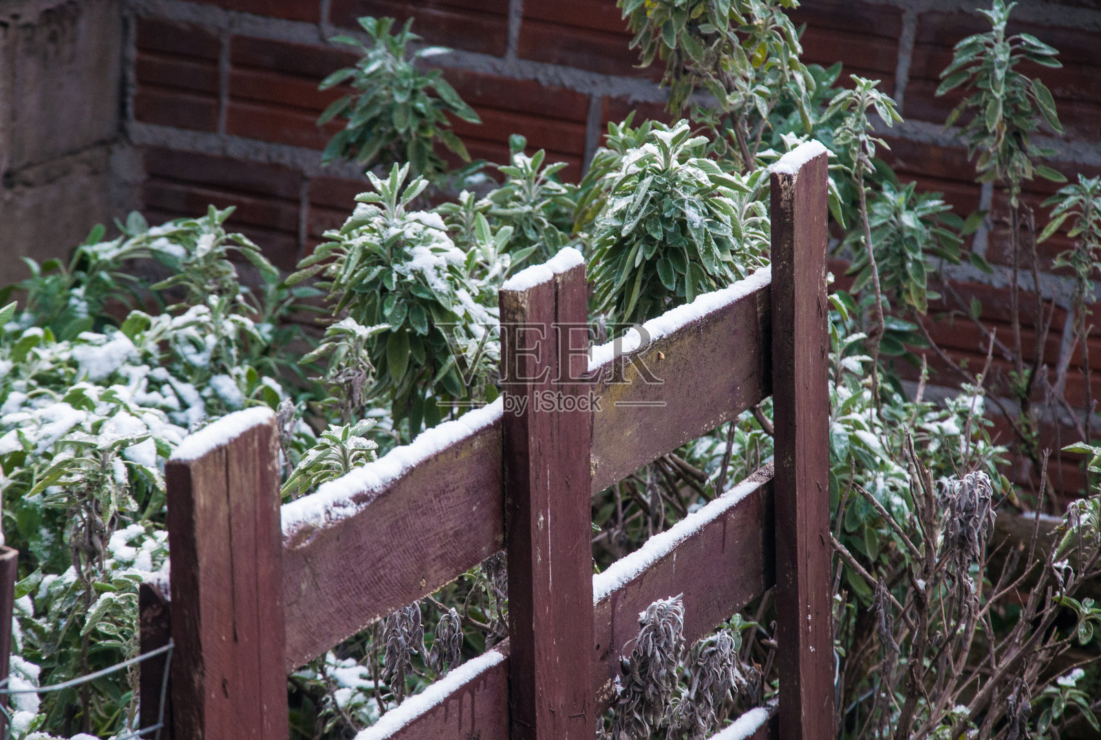 被雪覆盖的木栅栏照片摄影图片