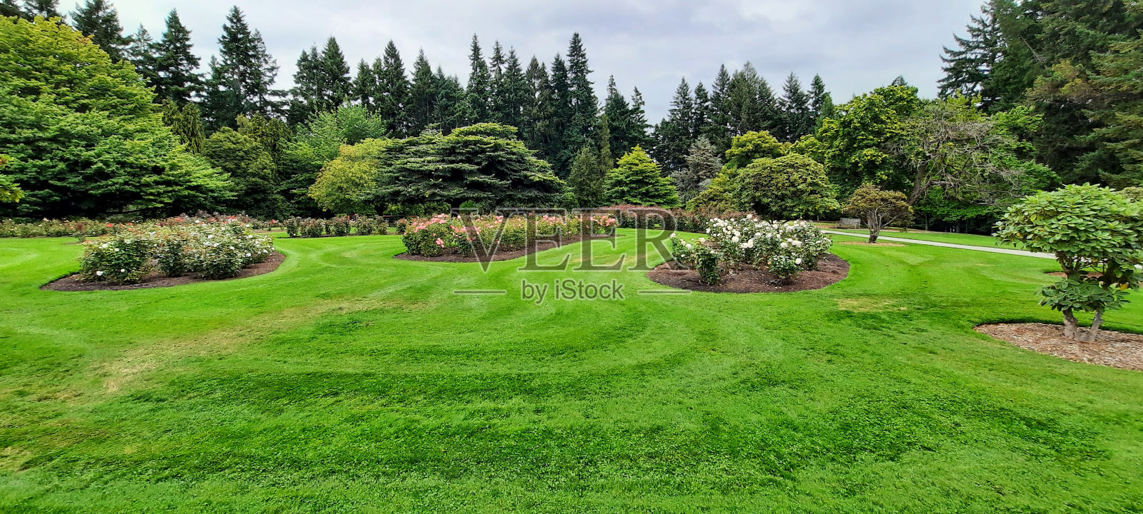 秋天的公园花园照片摄影图片