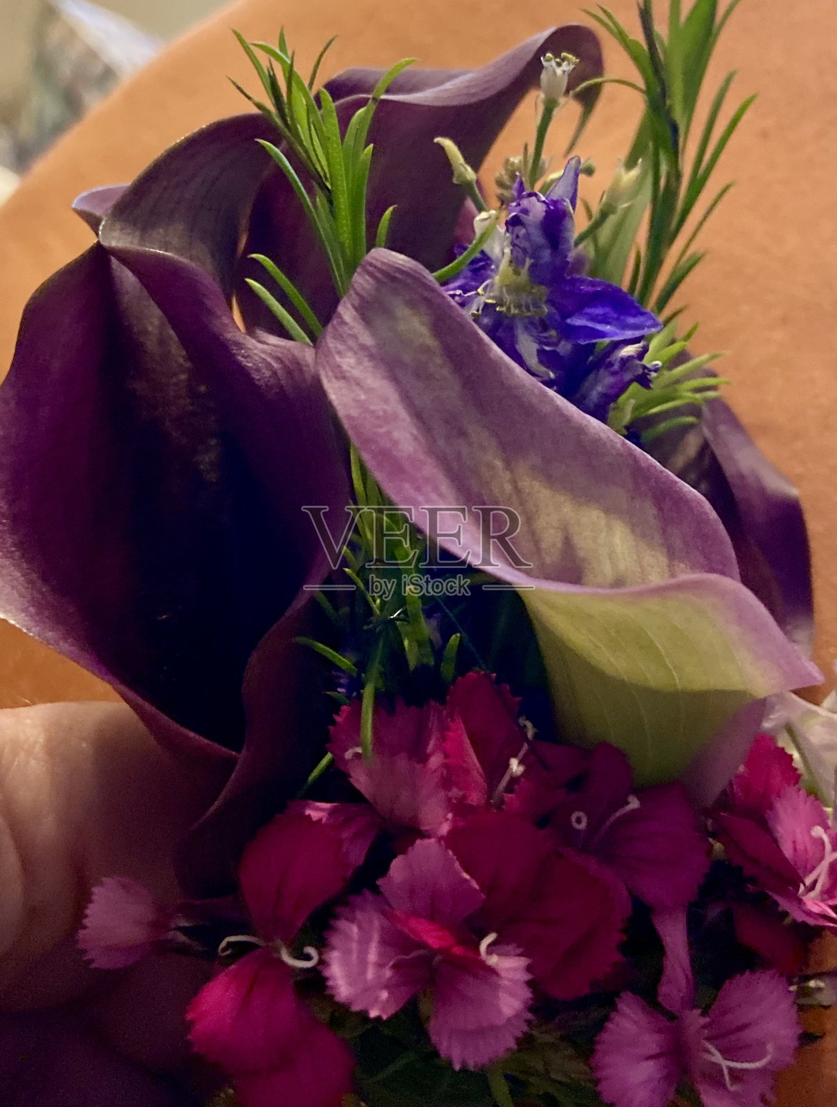 莉莉胸衣照片摄影图片