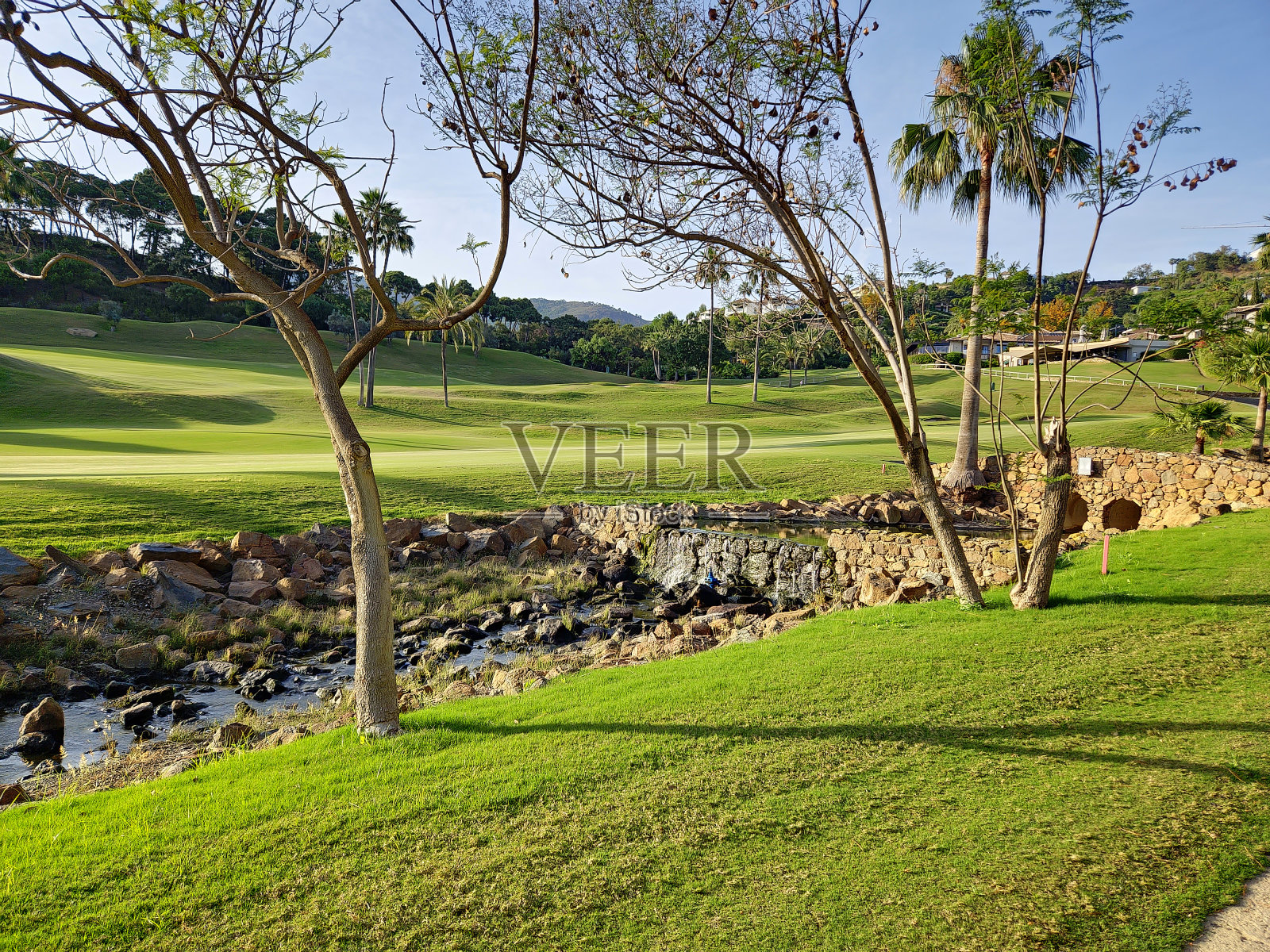 高尔夫球场，树木和小河照片摄影图片