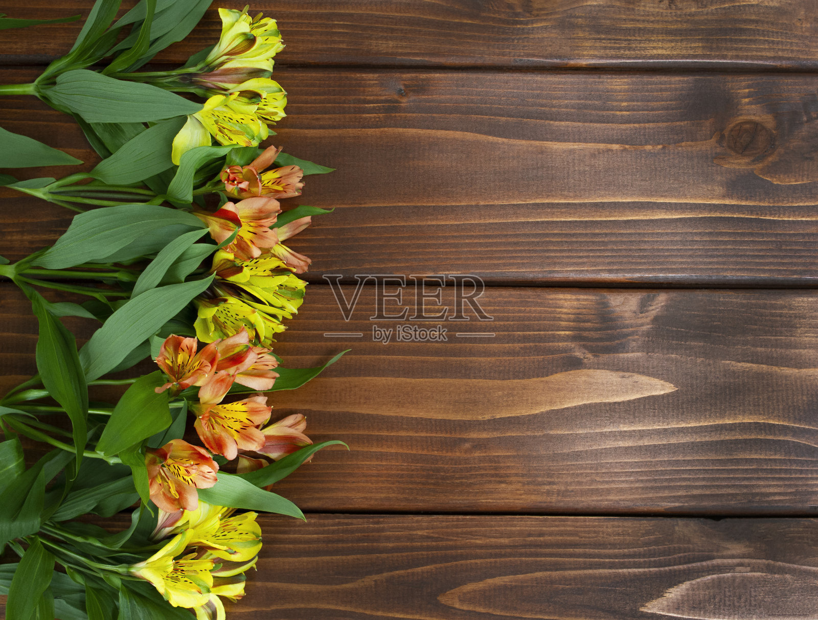 在深棕色的木制背景上开黄色和橙色的花照片摄影图片