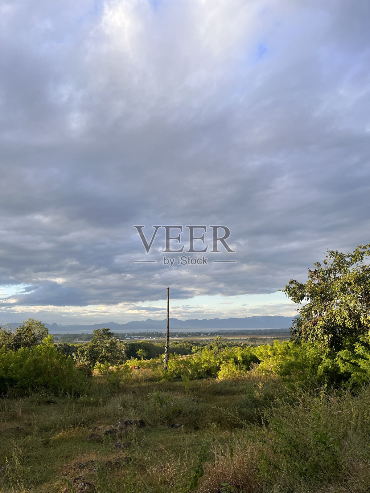 绿色的风景照片摄影图片