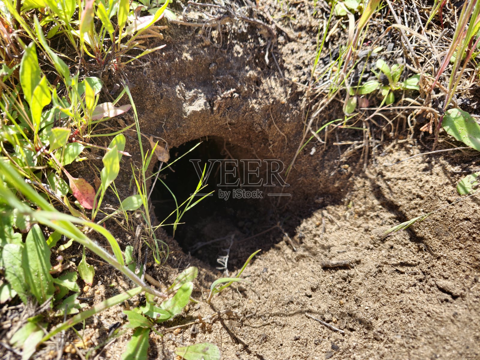 地上的洞照片摄影图片