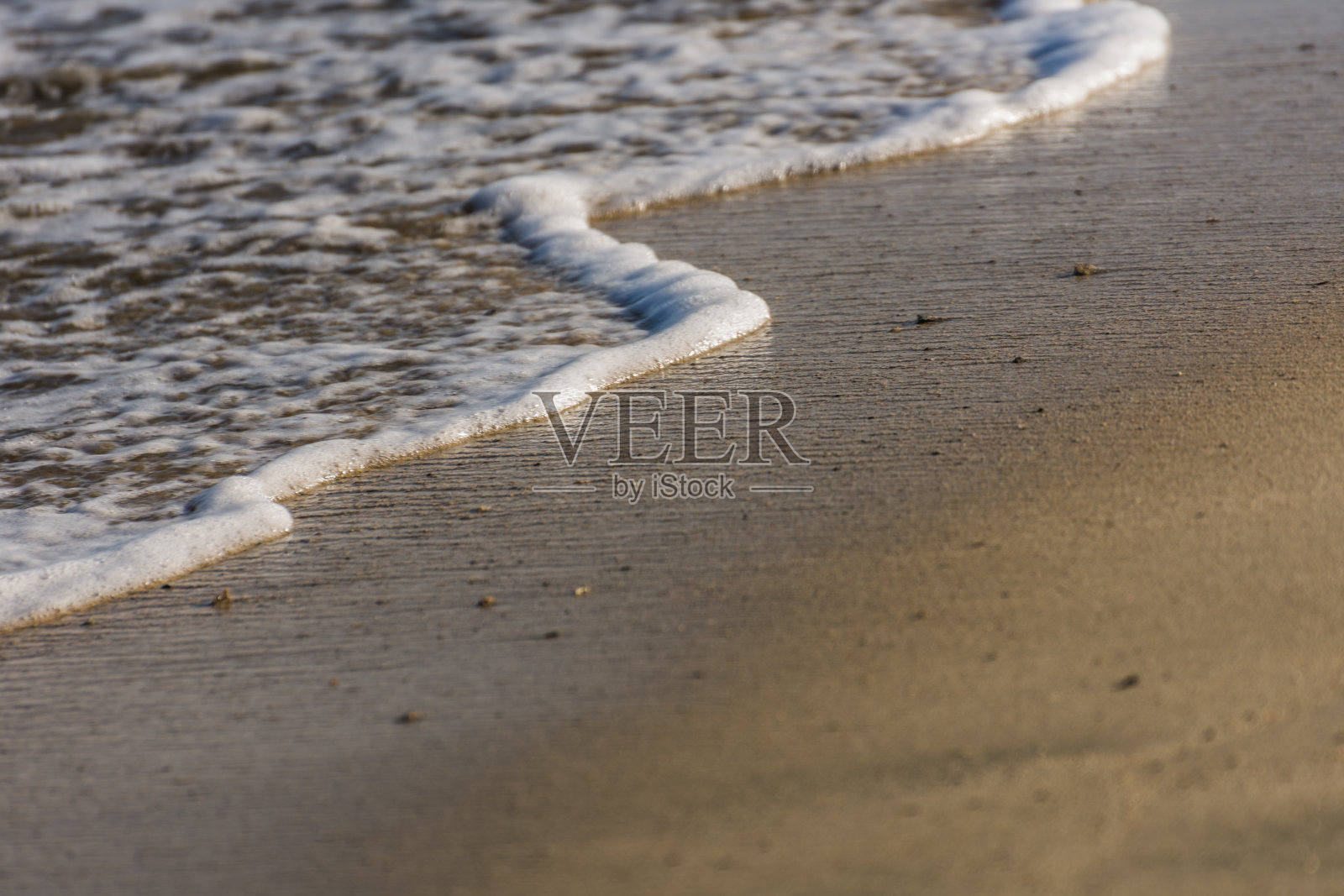 埃及沙滩上的白色泡沫照片摄影图片