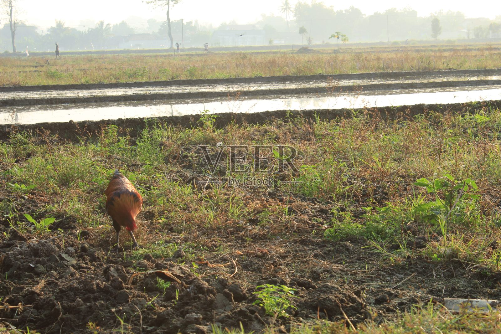 景观照片摄影图片