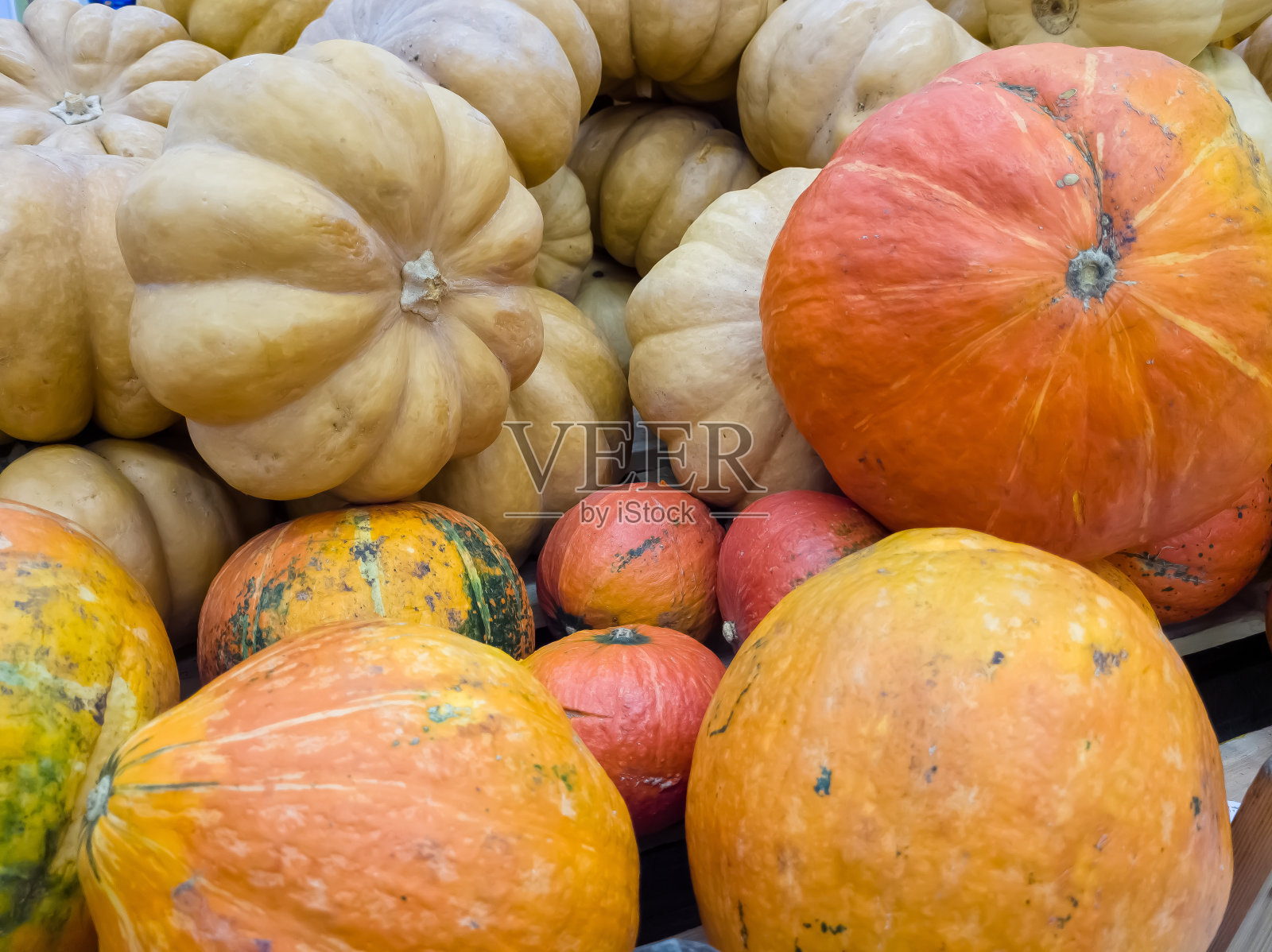 秋天，超市橱窗里各种各样的橙色南瓜照片摄影图片
