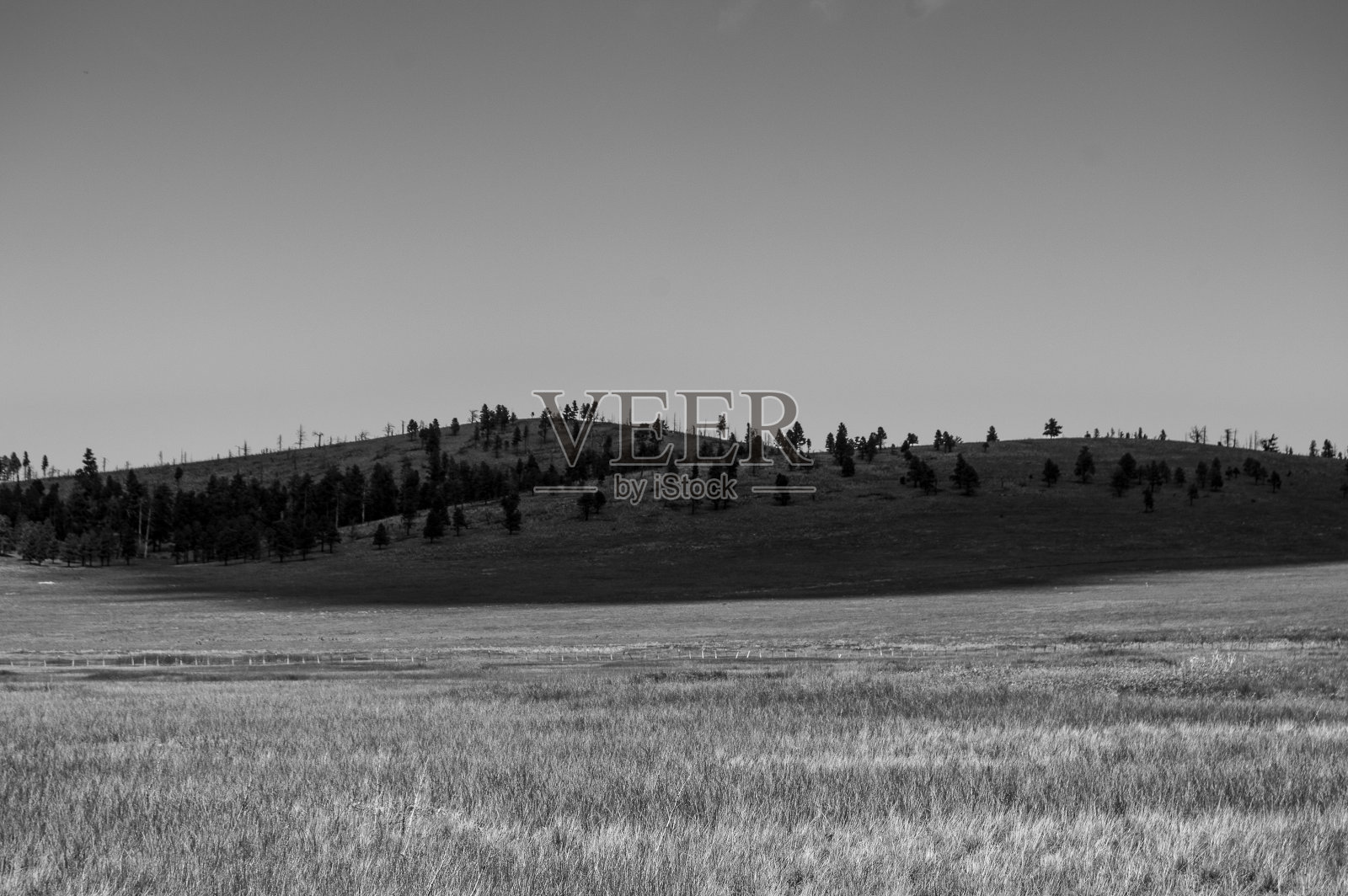 亚利桑那州的草地照片摄影图片