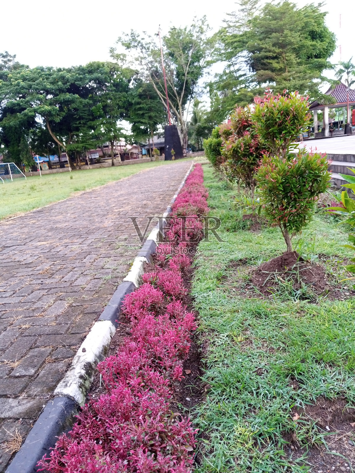 花园旁的人行道照片摄影图片