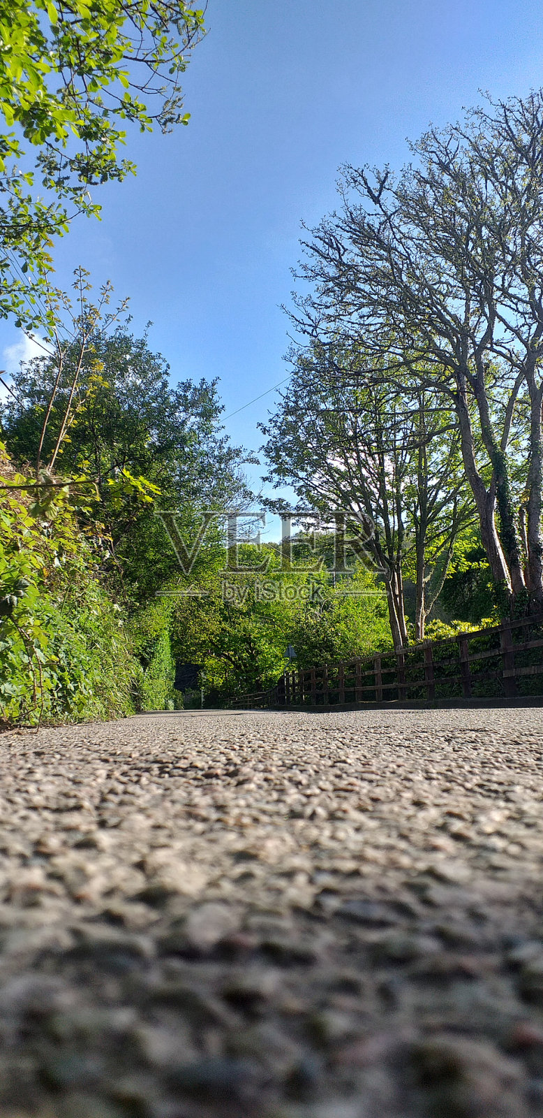 埃尔卡米诺照片摄影图片