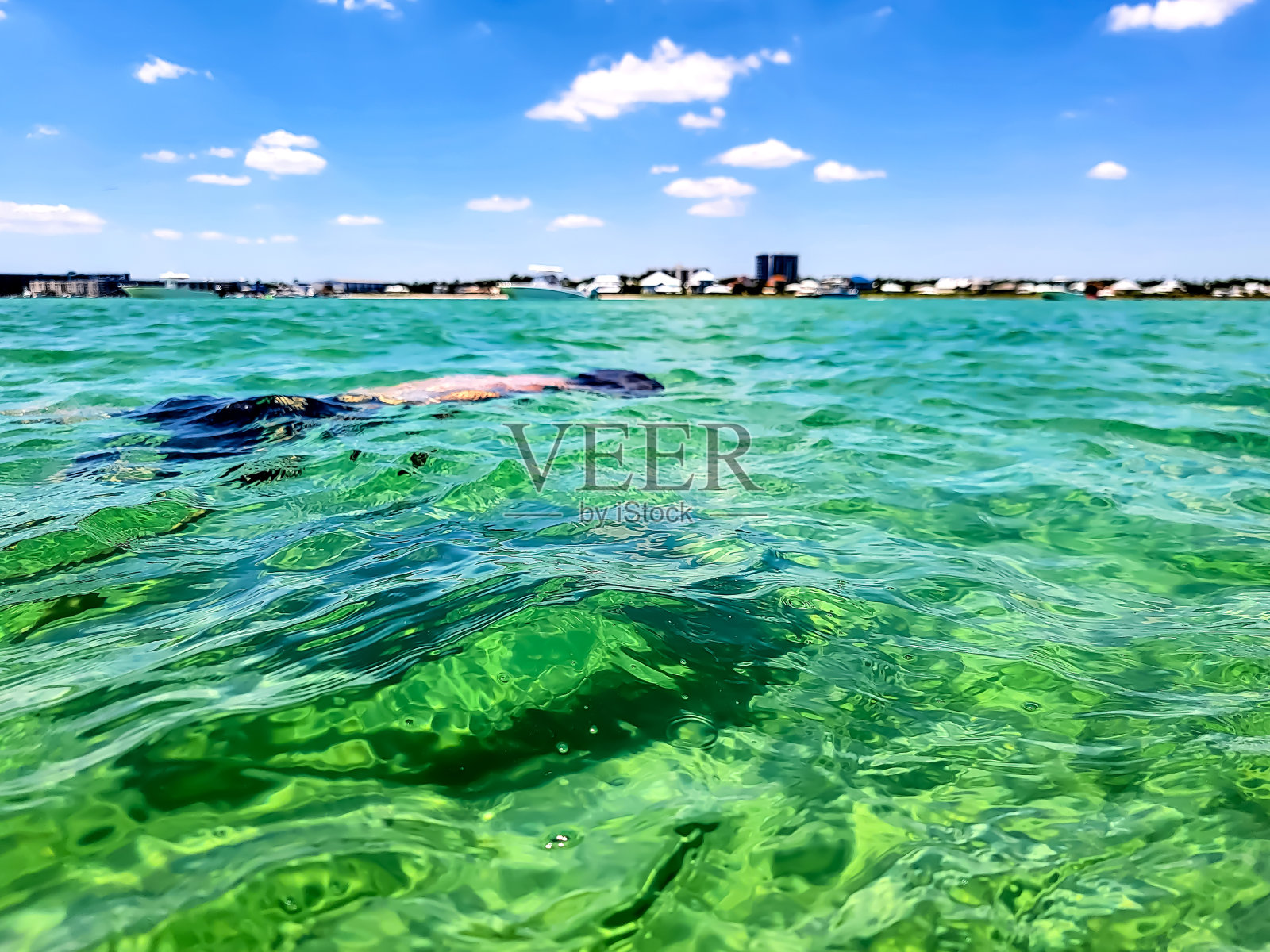 晶莹剔透的绿松石水照片摄影图片
