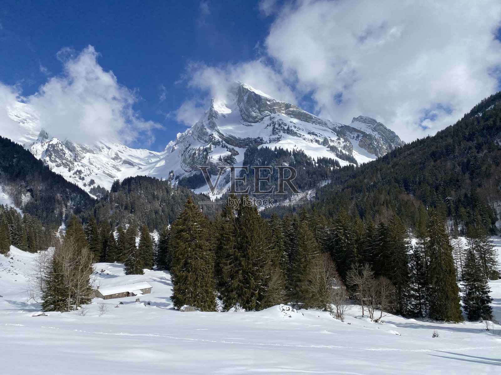 阿尔卑斯山脉和阿彭策尔阿尔卑斯山脉的阿尔卑斯山峰上的白色毯子，圣加仑州，瑞士(瑞士)照片摄影图片
