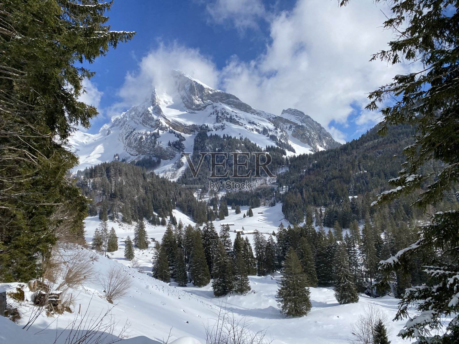 阿尔卑斯山脉和阿彭策尔阿尔卑斯山脉的阿尔卑斯山峰上的白色毯子，圣加仑州，瑞士(瑞士)照片摄影图片