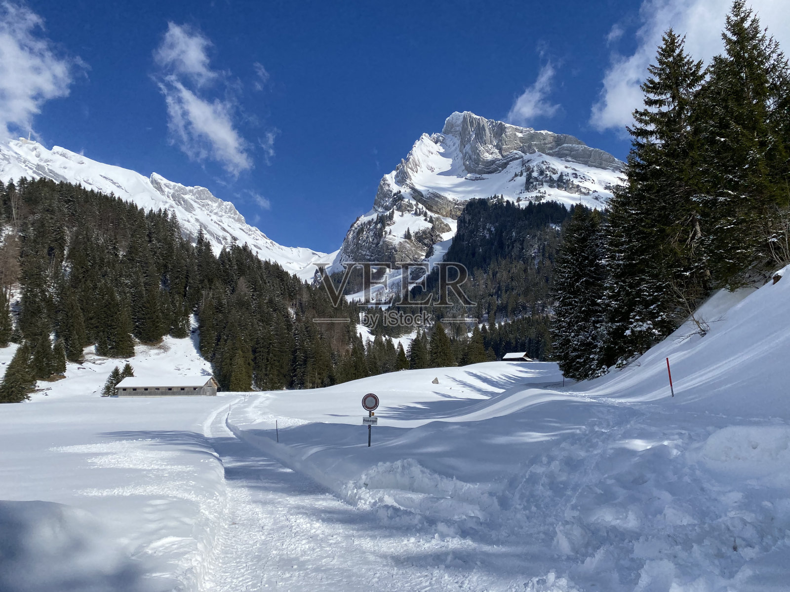 白雪覆盖的高山山峰Säntis (Saentis或Santis, 2502米)和阿尔卑斯山脉的Wildhuser Schofberg(或Wildhuser Schafberg, 2373米)，圣约翰-瑞士照片摄影图片