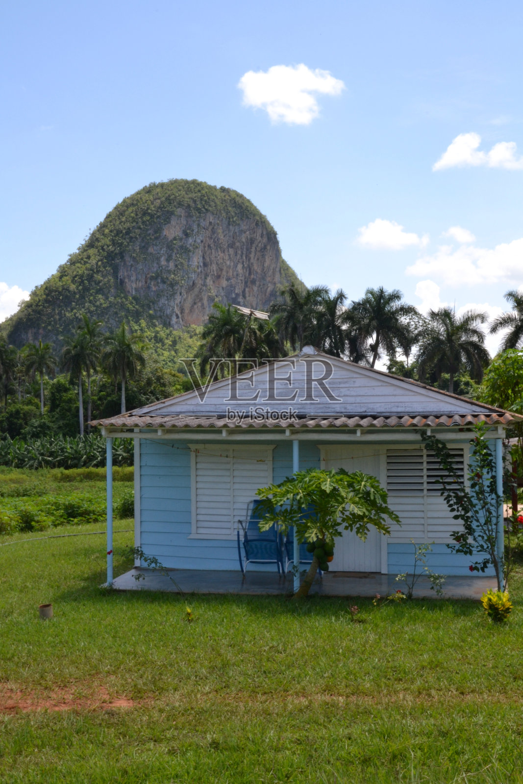 古巴乡村的蓝色房子，在一个摩格特后面照片摄影图片