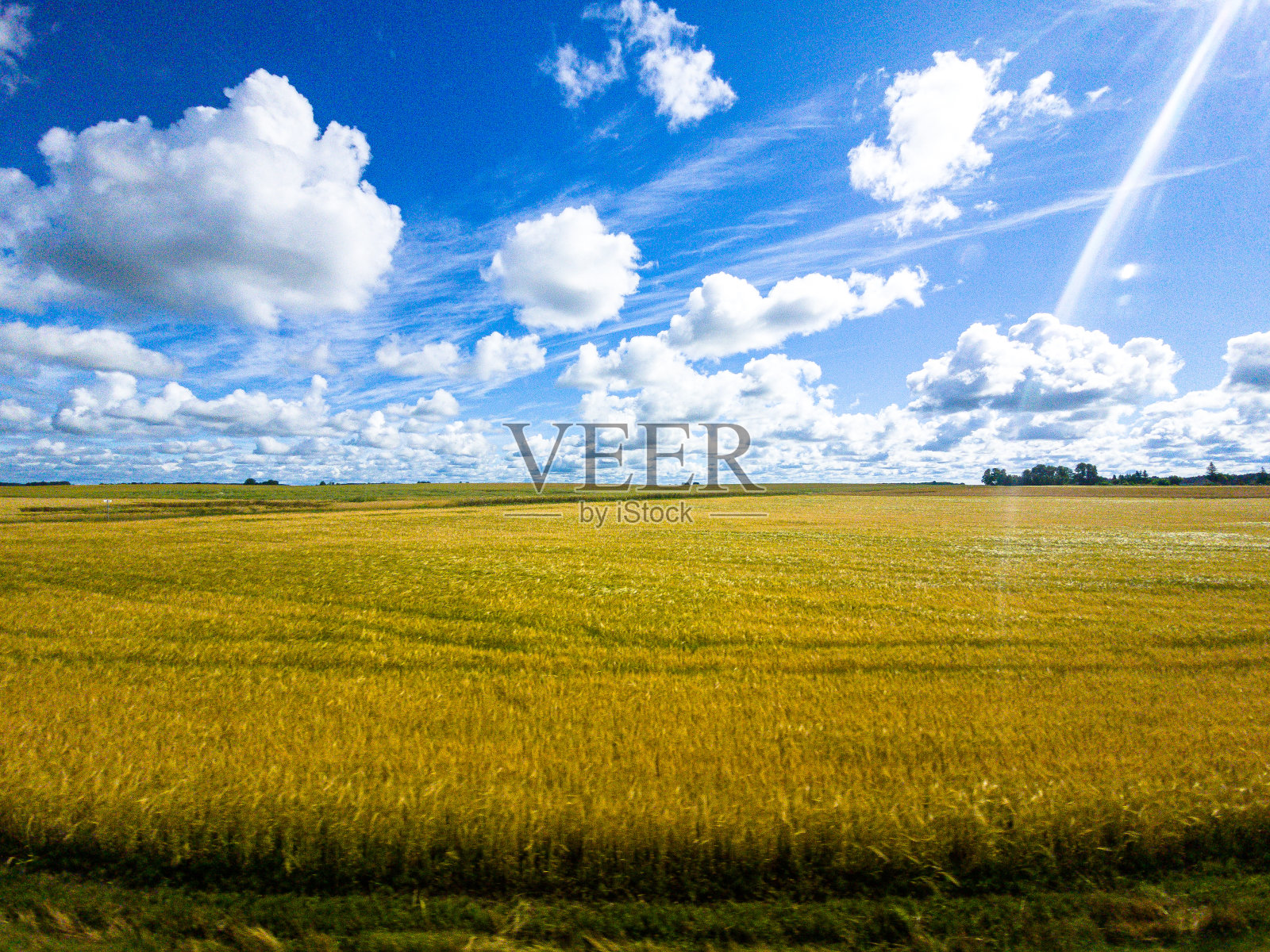 蓝天白云，黄绿田野。夏天。一个很好的背景照片摄影图片