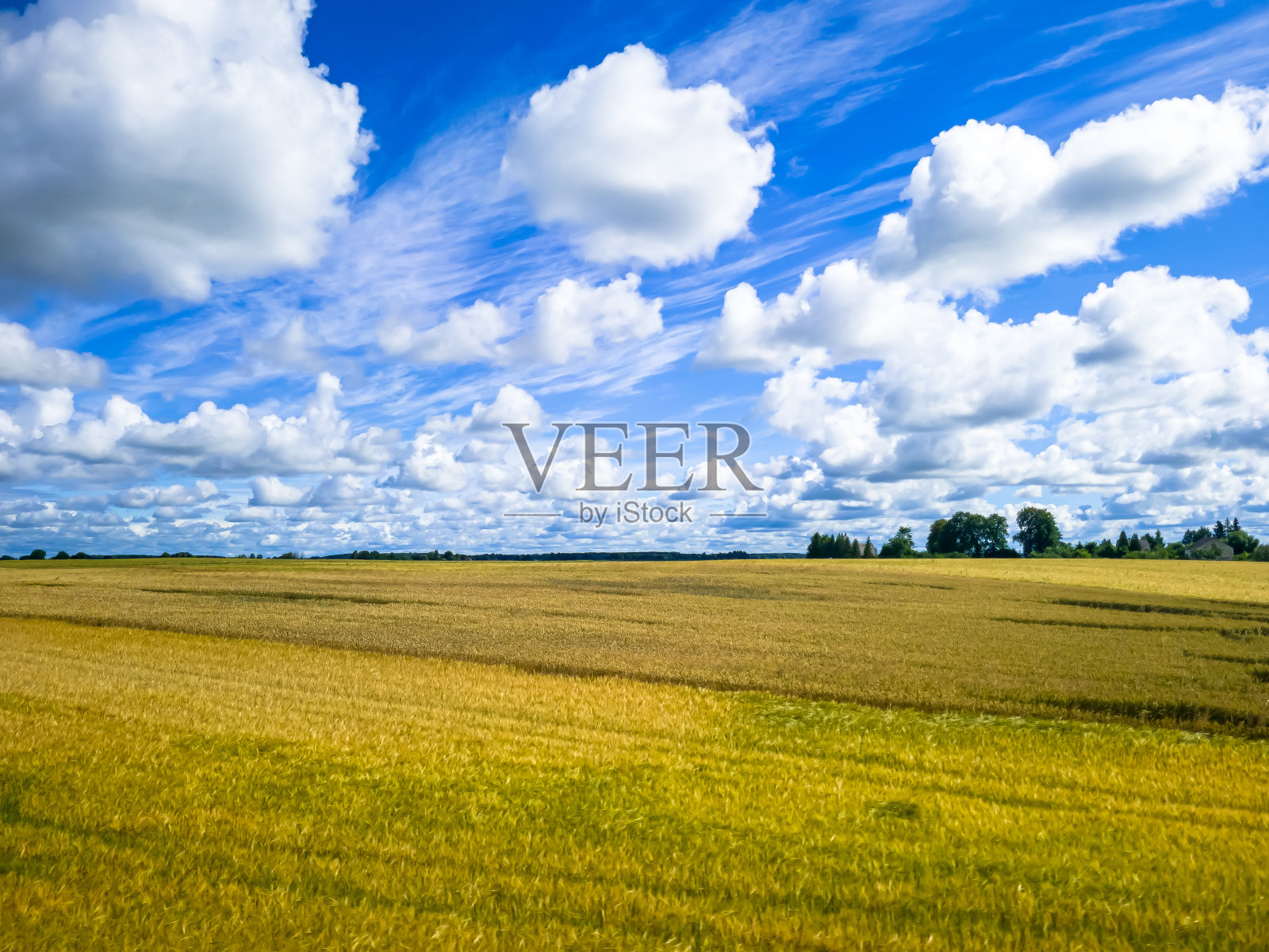蓝天白云，黄绿田野。夏天。一个很好的背景照片摄影图片