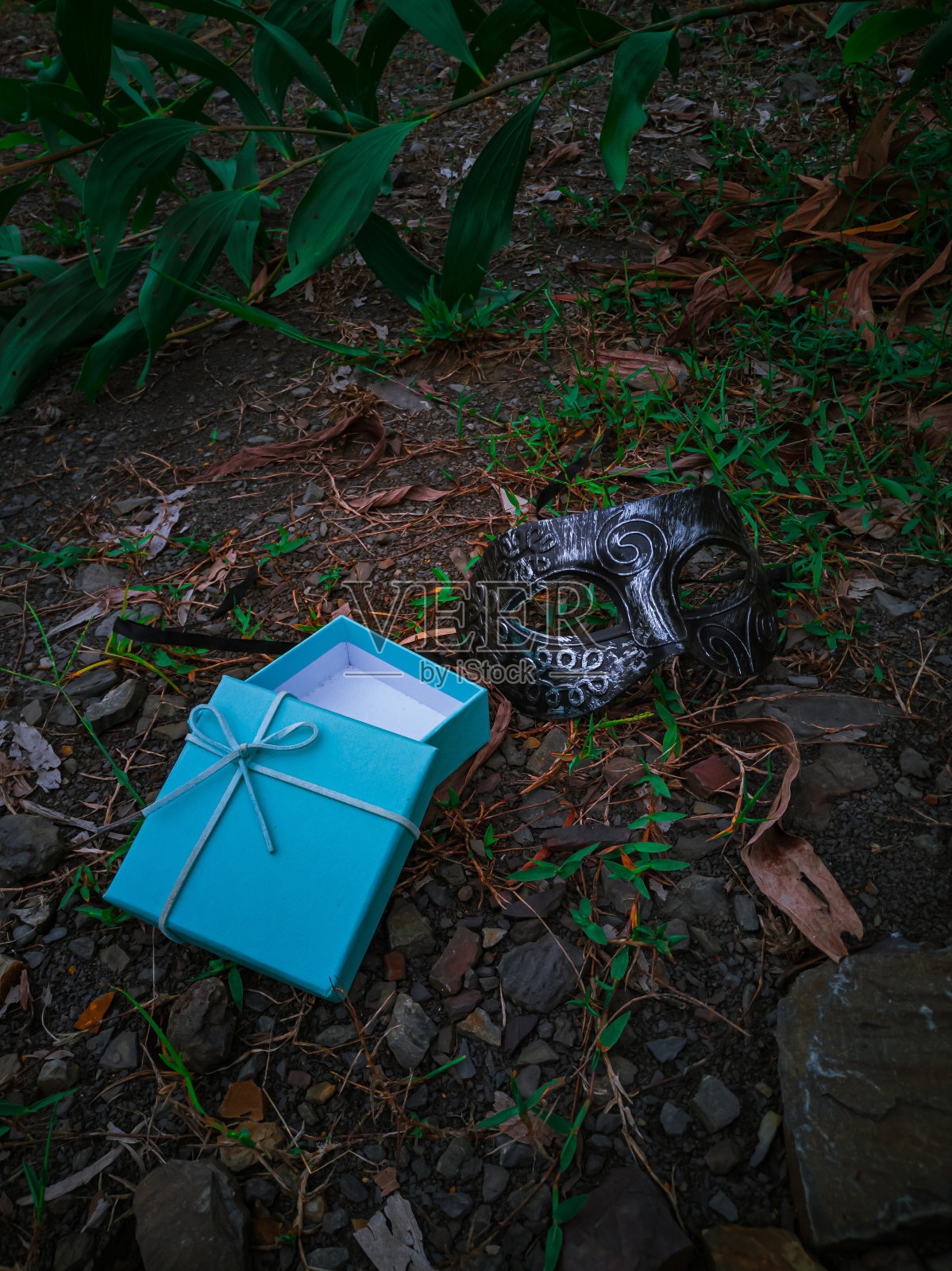 小礼盒上有化妆舞会照片摄影图片