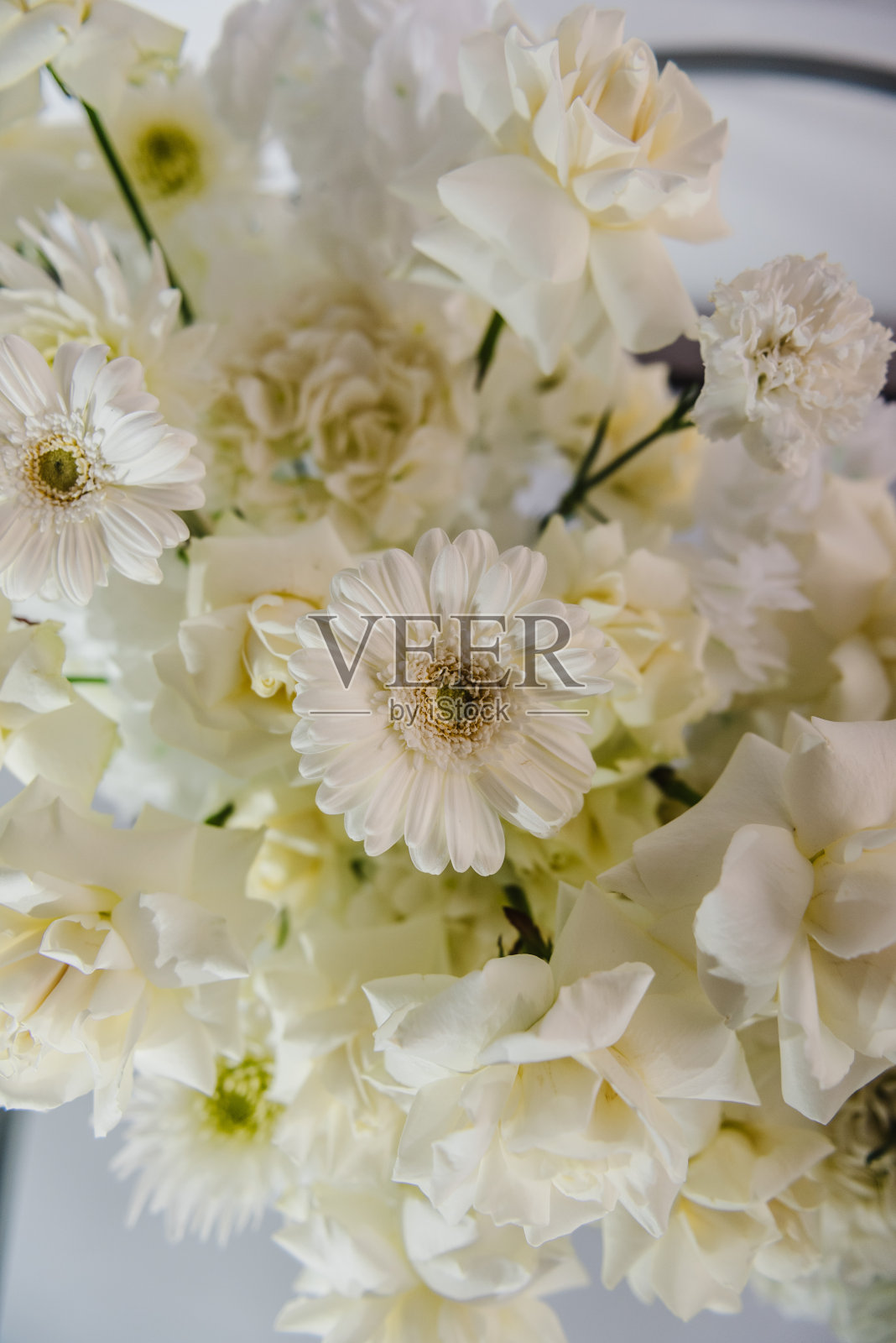 背景的花。精致的白色非洲菊和玫瑰花。有拷贝空间的合成。软模糊花与软散景在柔和的色调背景。特写镜头装饰。横幅。前视图。照片摄影图片