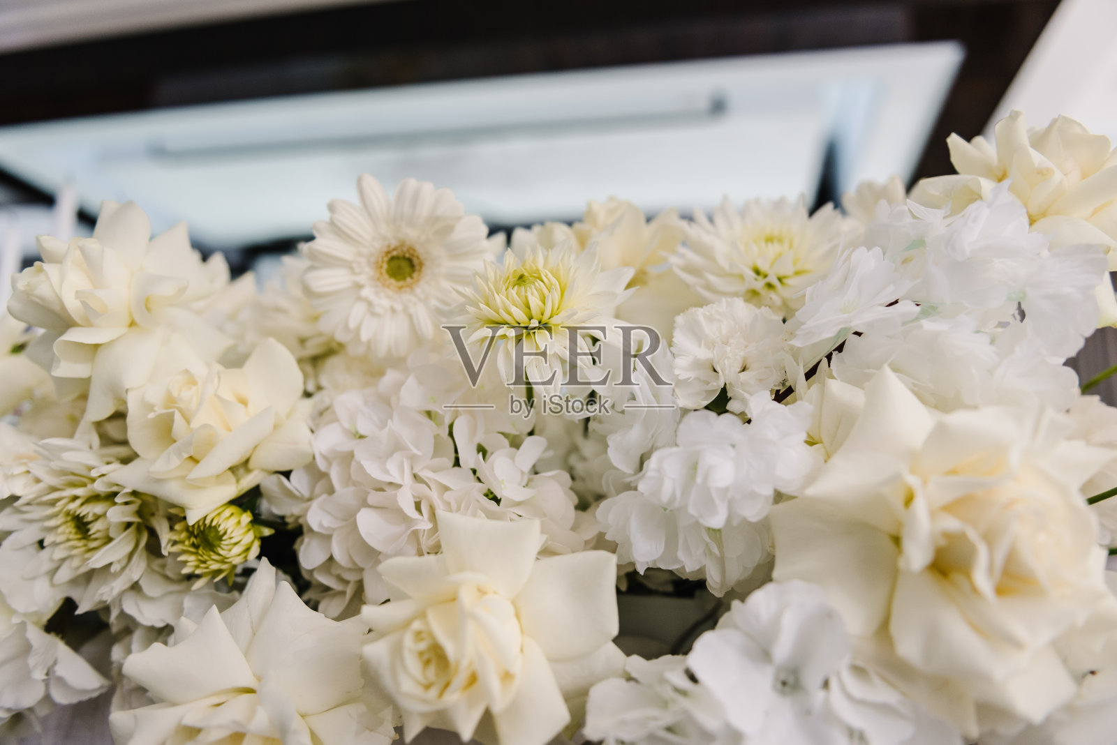 背景的花。精致的白色非洲菊和玫瑰花。有拷贝空间的合成。软模糊花与软散景在柔和的色调背景。特写镜头装饰。横幅。前视图。照片摄影图片