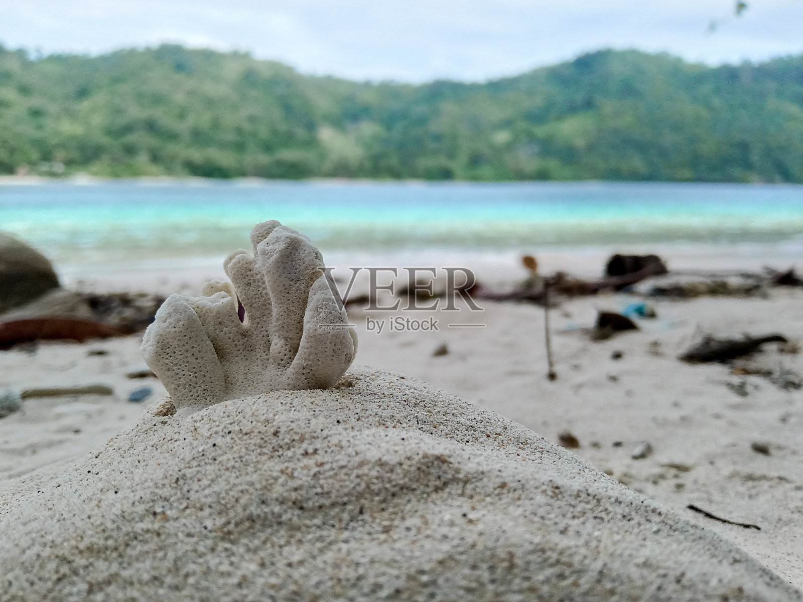 海滩上的大块珊瑚照片摄影图片