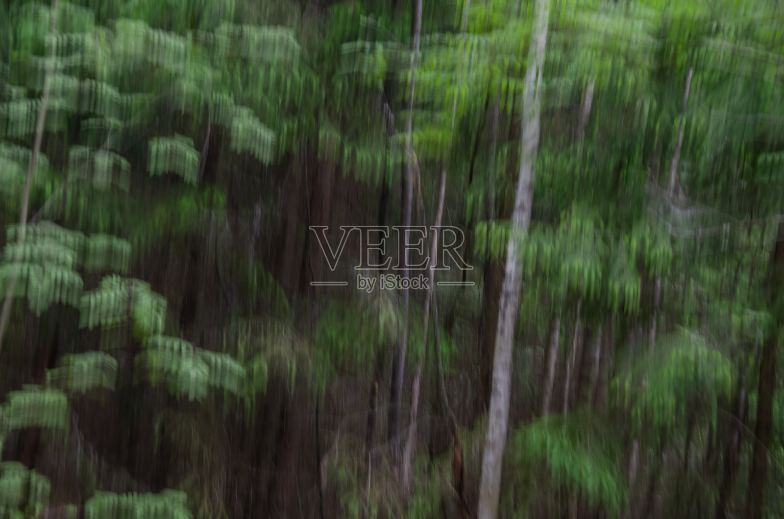 抽象模糊背景失焦自然照片摄影图片