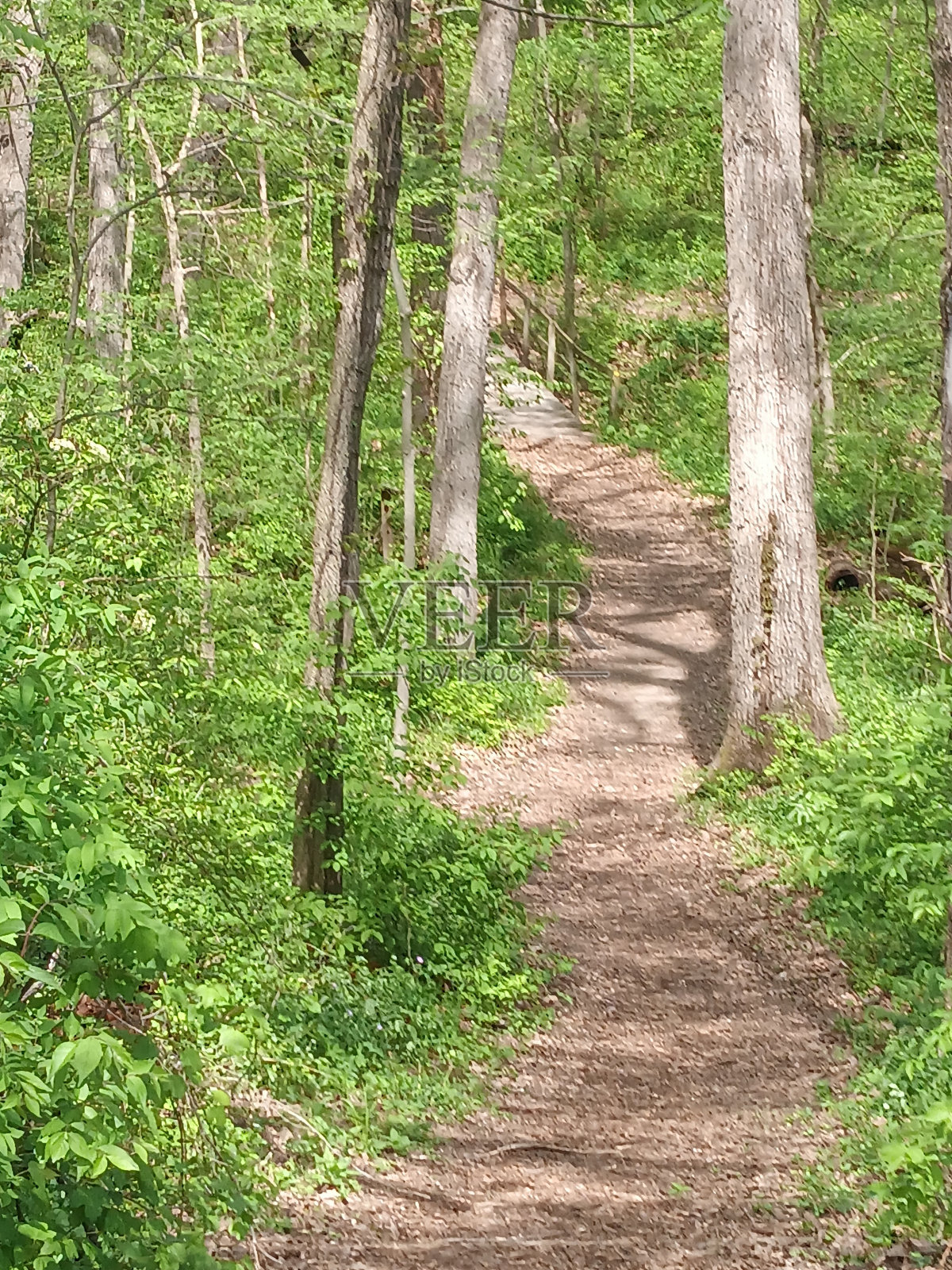 路径照片摄影图片