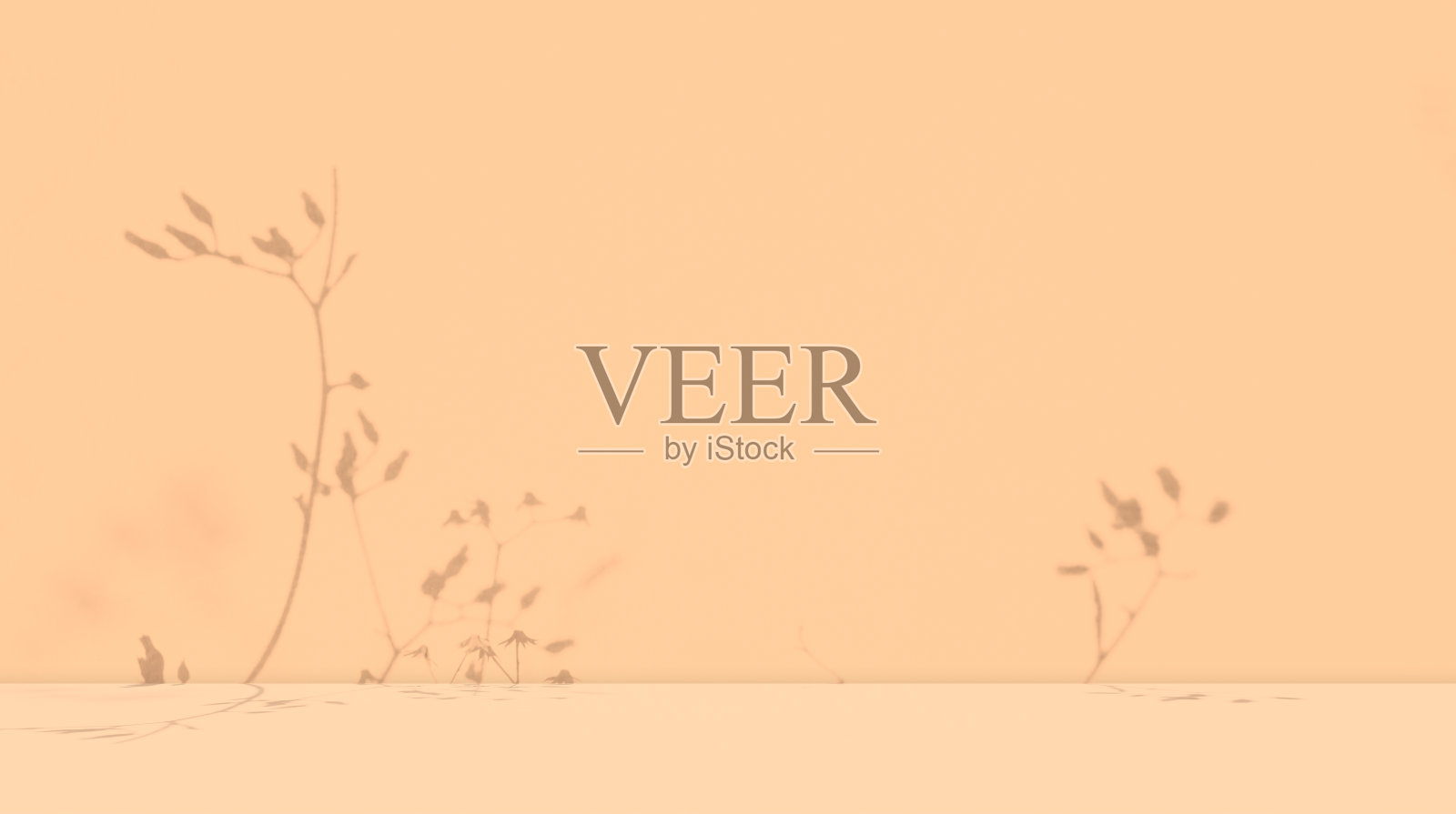 花影工作室夏春背景，米色光叠加在桌子上产品化妆品场景背景，空纸极简主义阁楼房间地板墙壁空间模板，抽象图案照片摄影图片