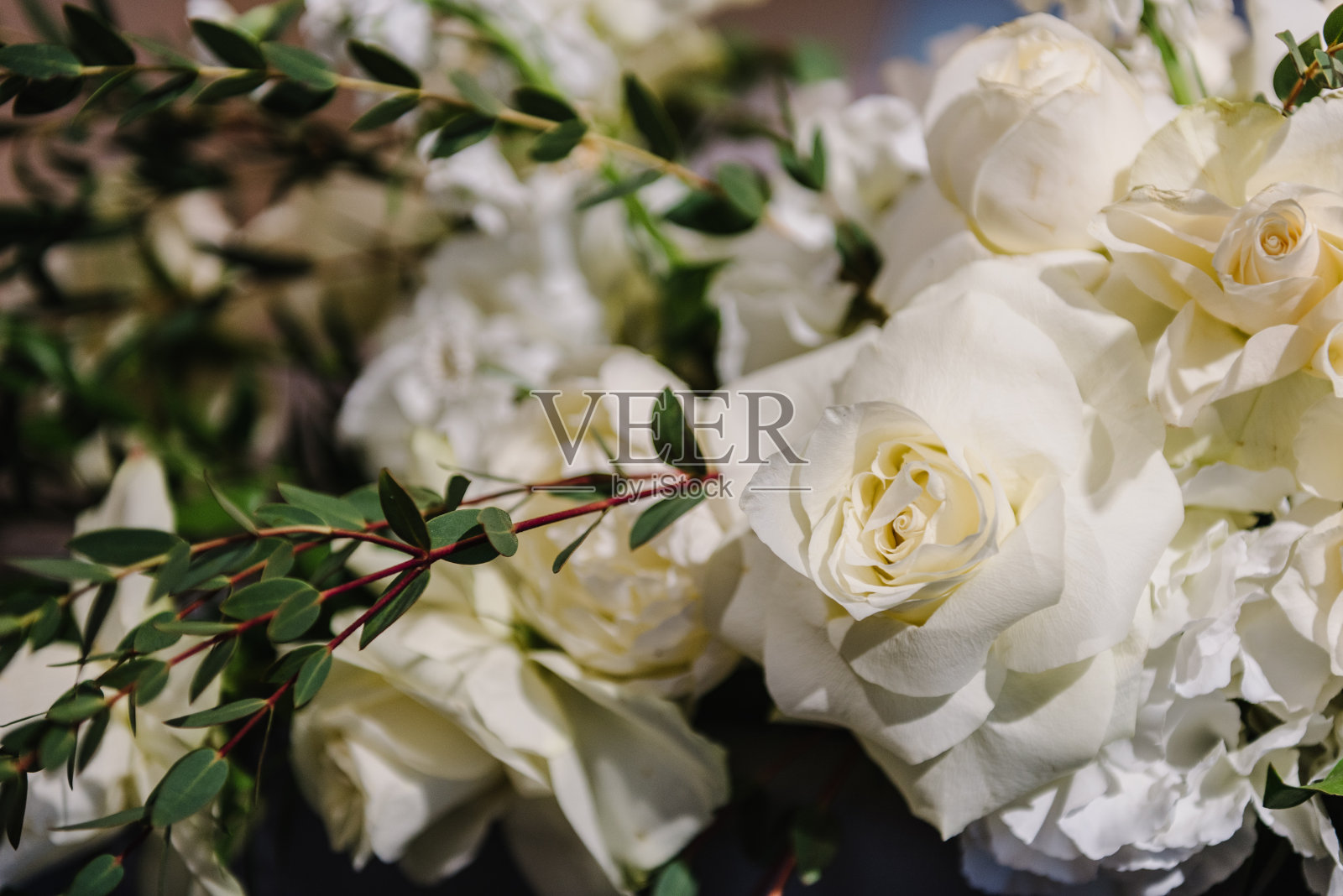 精致的白玫瑰花朵。有拷贝空间的合成。软模糊花与软散景在柔和的色调背景。特写镜头装饰。横幅。桌子内部装饰的细节。照片摄影图片