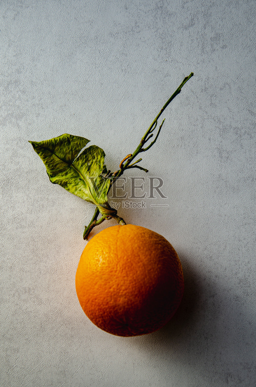 橙色水果照片摄影图片