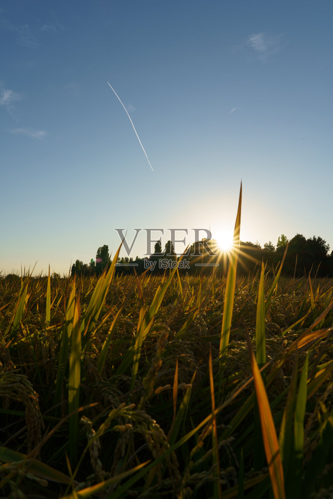 风景与田野照片摄影图片