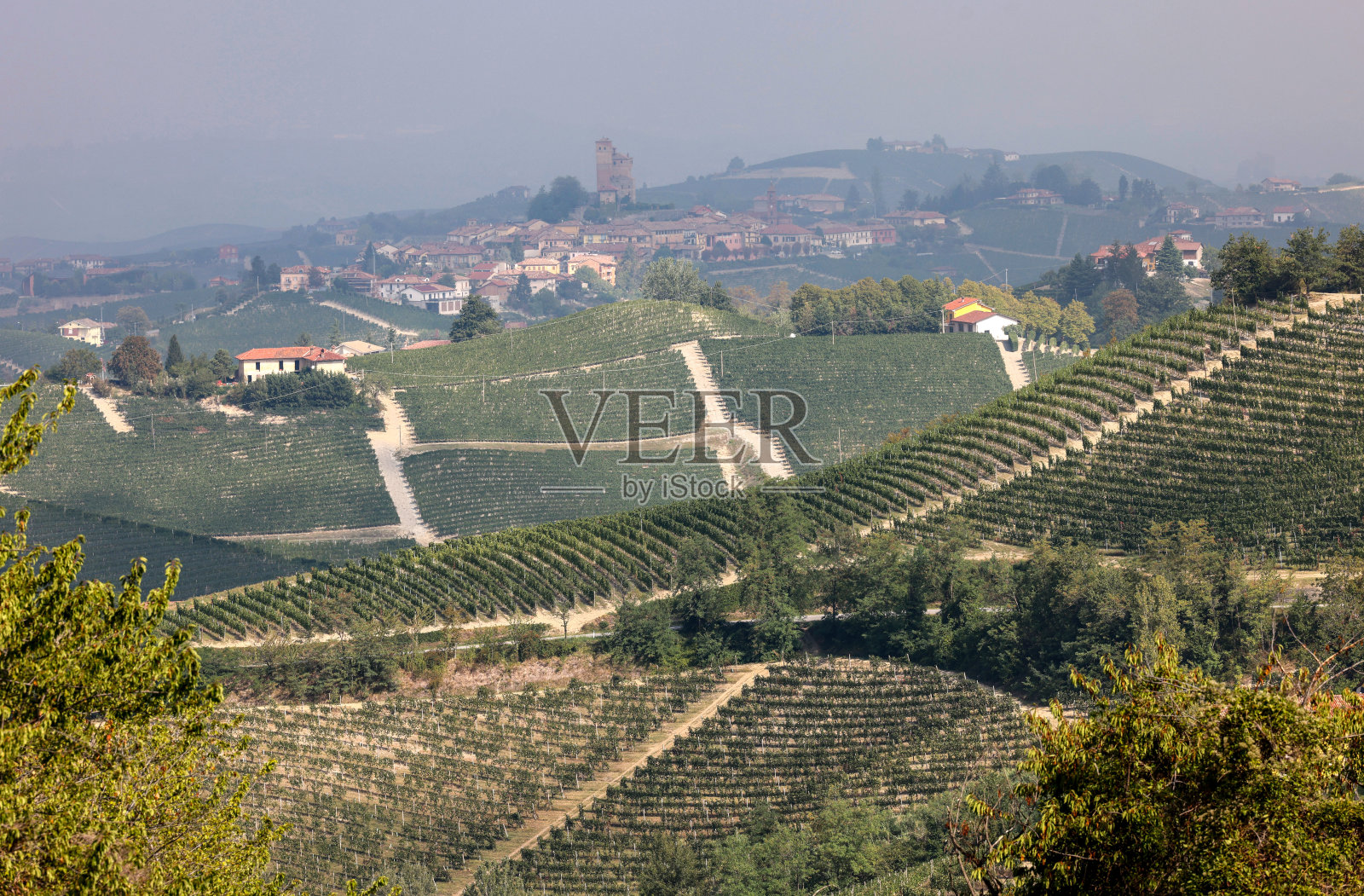 朗格葡萄园位于意大利巴罗洛和拉莫拉附近照片摄影图片