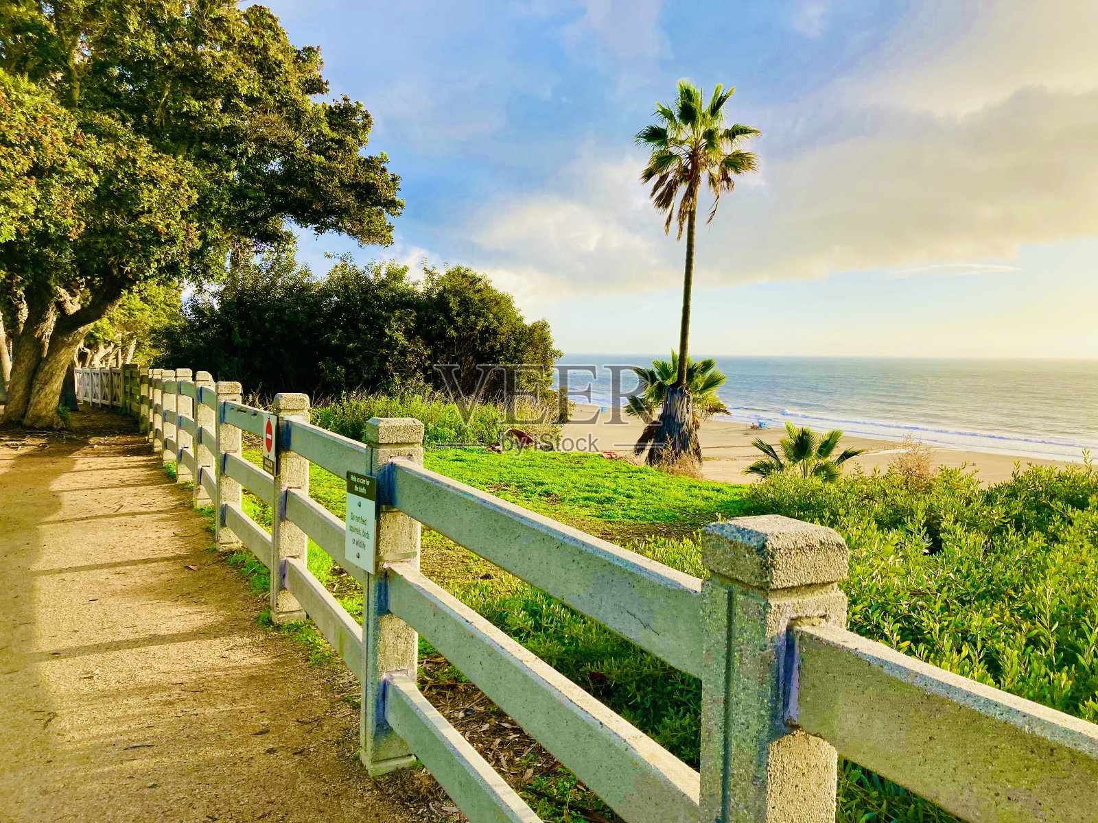 泳滩公园径照片摄影图片