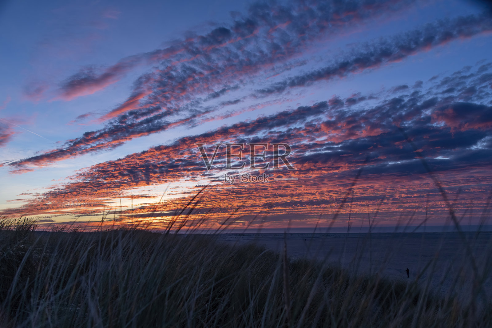特塞尔岛上沙丘上的日落景色照片摄影图片