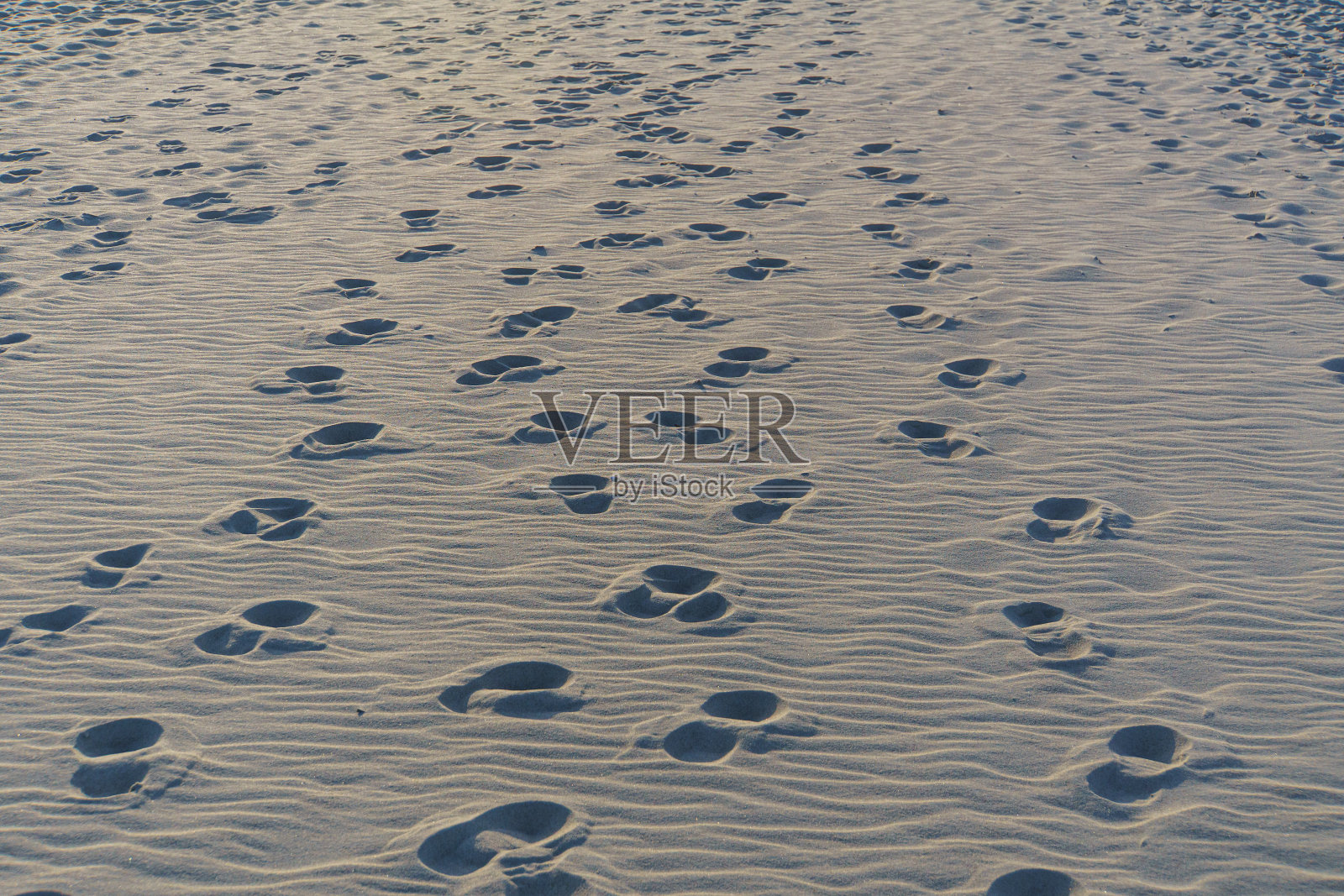 波兰赫尔半岛沙滩上的脚印照片摄影图片