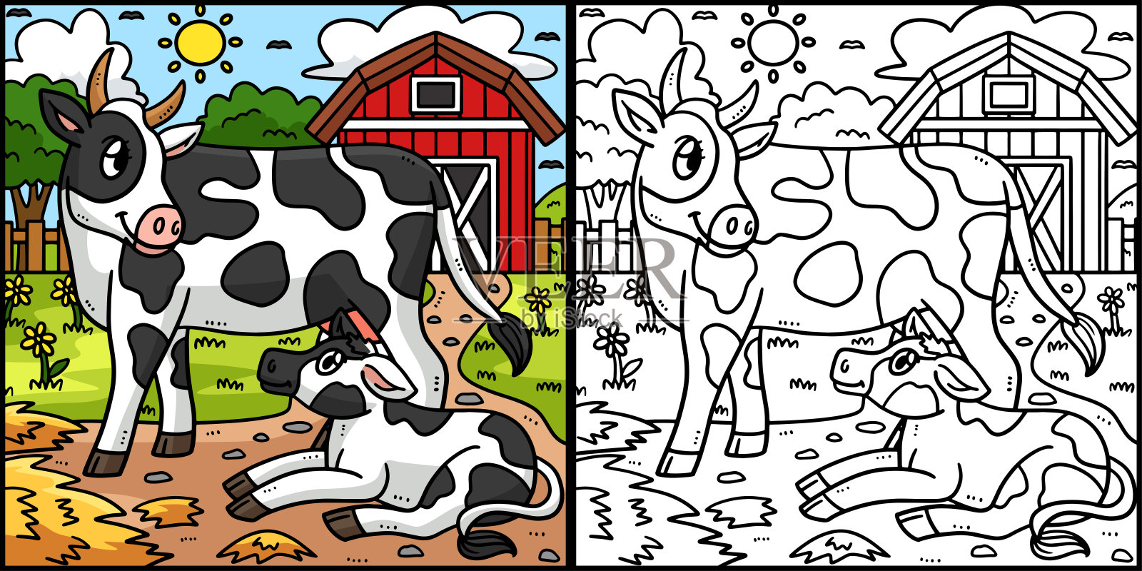 牛妈妈和小牛着色页插图插画图片素材
