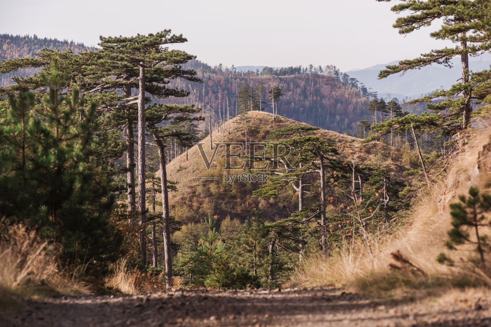 波斯尼亚和黑塞哥维那东北部的Konjuh山脉照片摄影图片