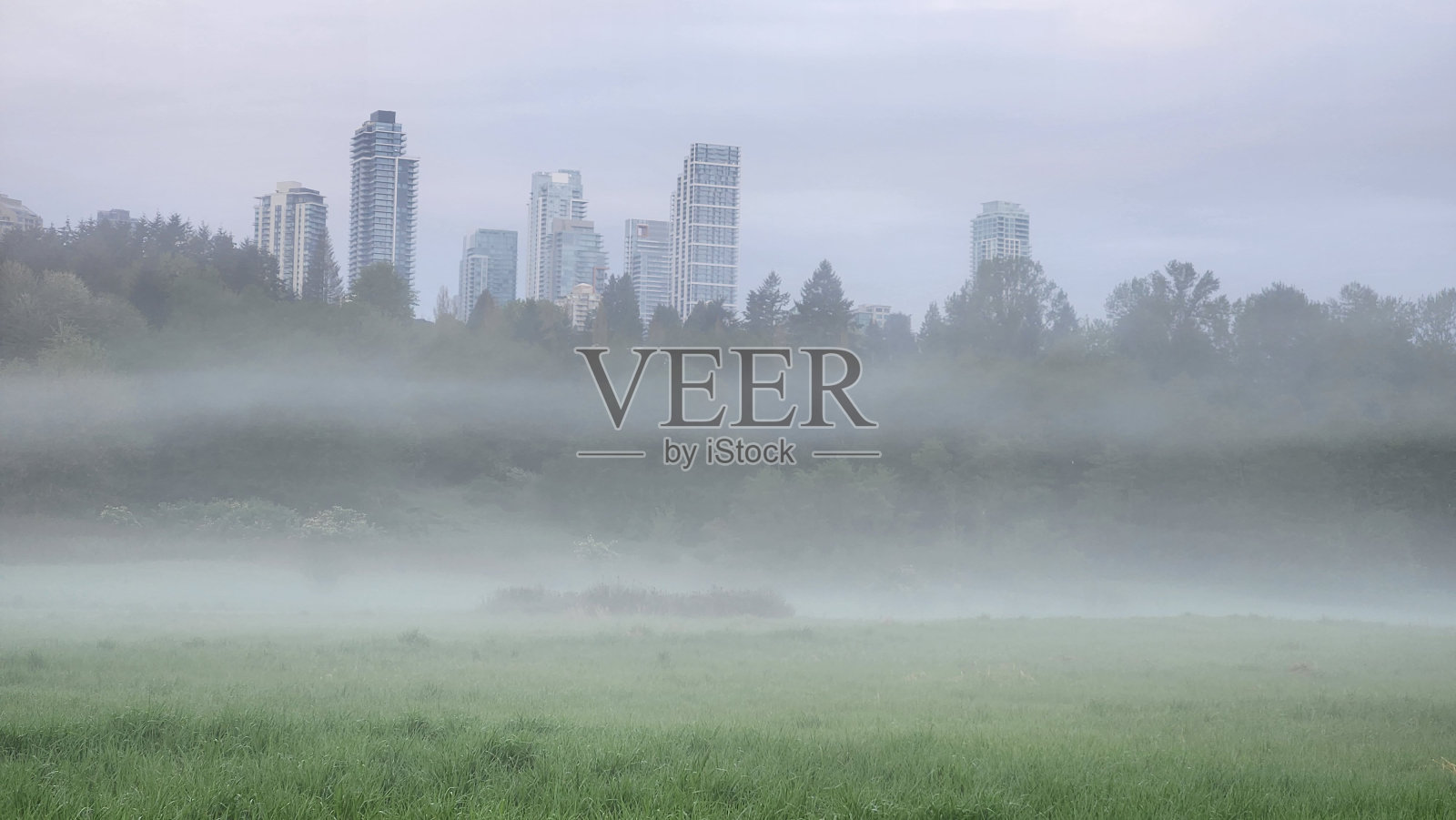 晨雾从绿色的草地上升起，背景是高楼大厦和云层照片摄影图片