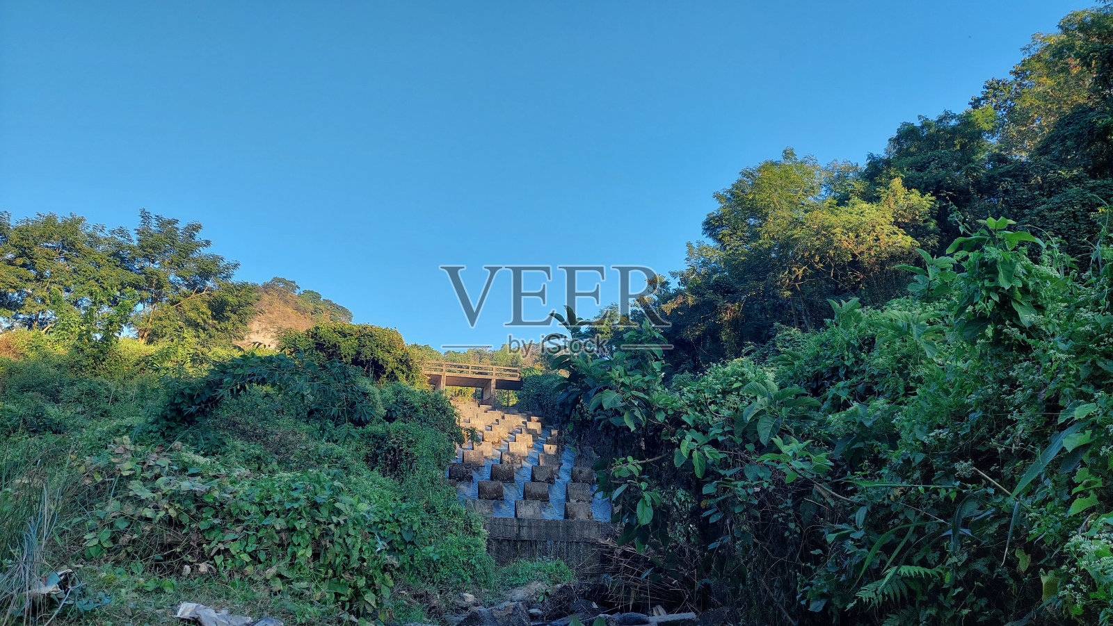 孟加拉国的自然美景照片摄影图片