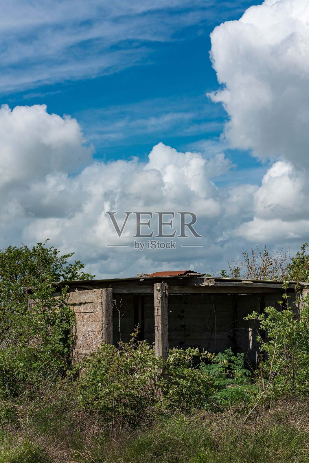 在英国肯特郡罗姆尼沼泽郁郁葱葱的绿色草地中，古老的木制谷仓矗立在农村地区照片摄影图片